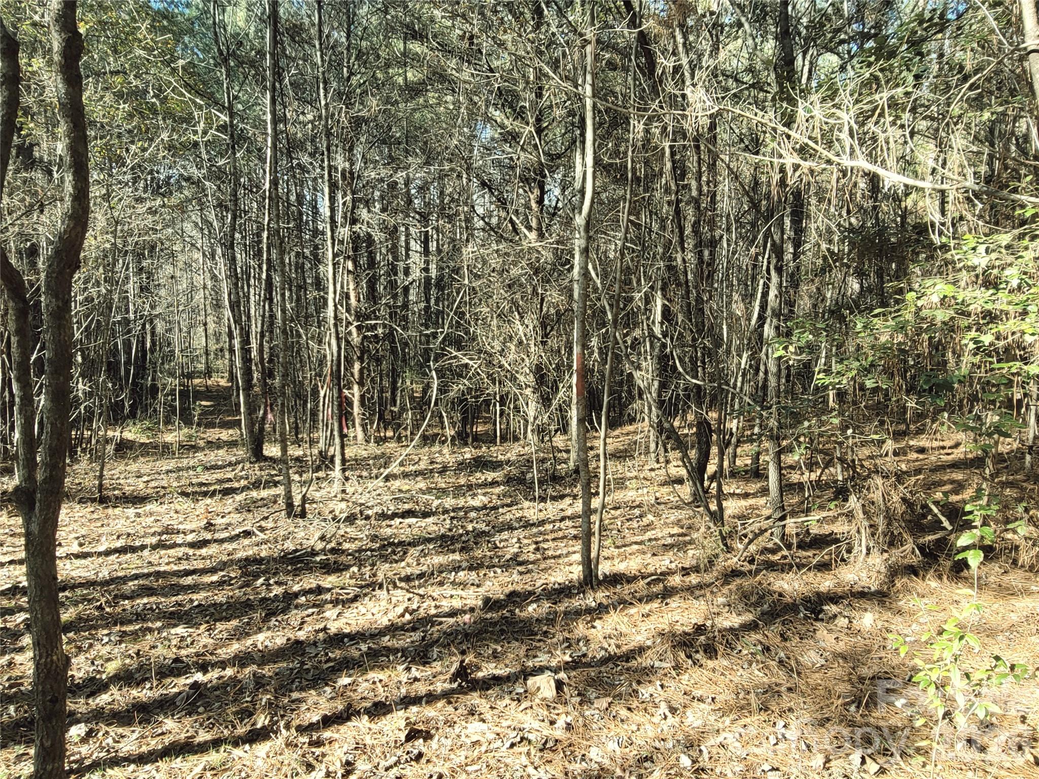 0 Farmer Johns Trail 9 Property Photo 26
