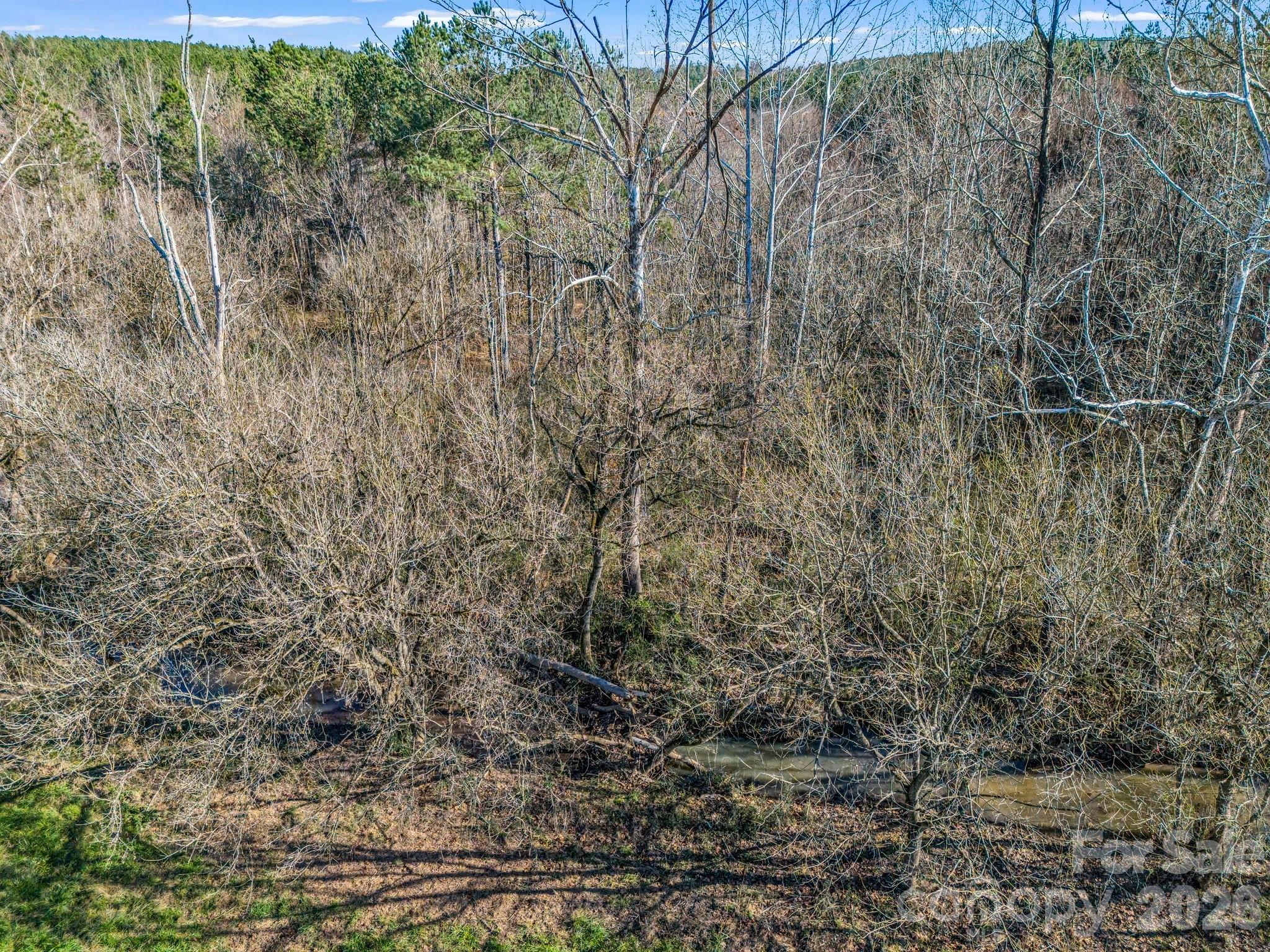 0 Farmer Johns Trail 9 Property Photo 27