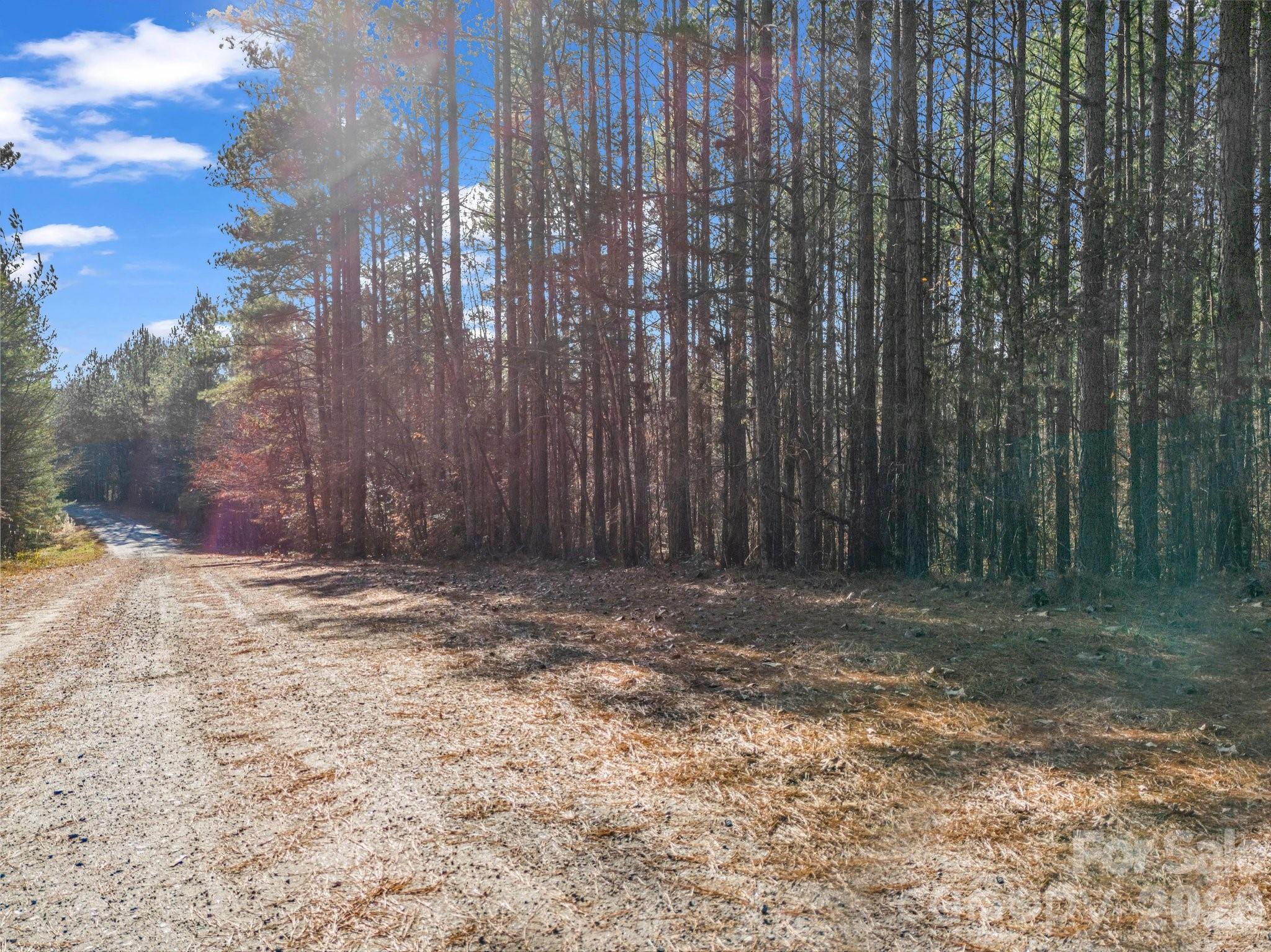 0 Farmer Johns Trail 9 Property Photo 28