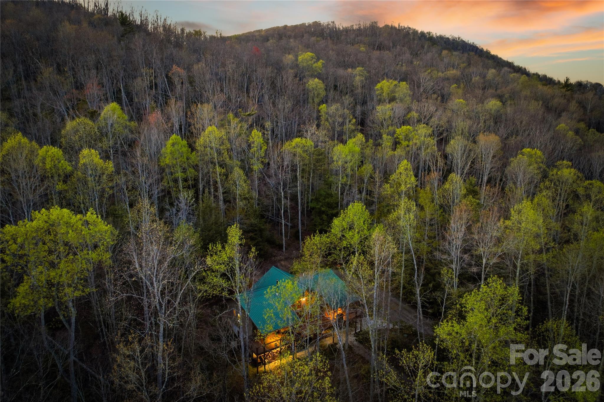 163 Bear Track Lane Property Photo 2