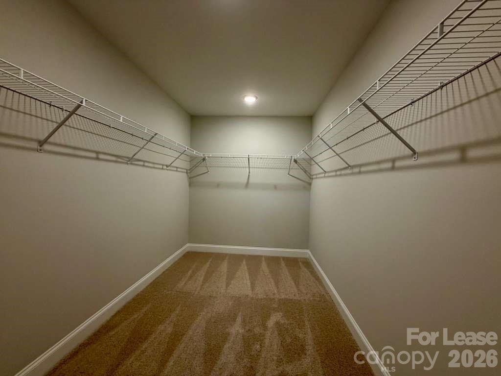 4229 Black Court Property Photo 17