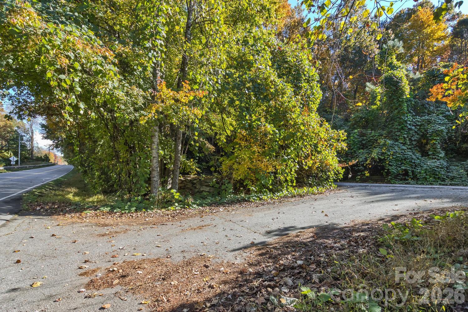 0 Waterside Drive Lot #1b And Lot #1c Property Photo 1