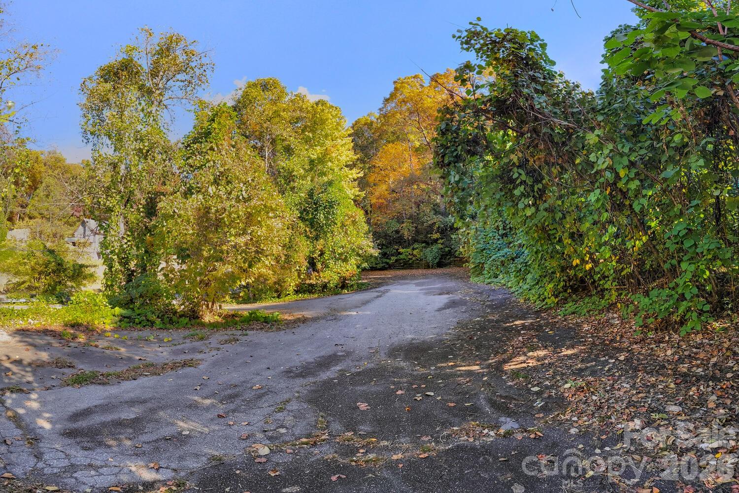 0 Waterside Drive Lot #1b And Lot #1c Property Photo 2