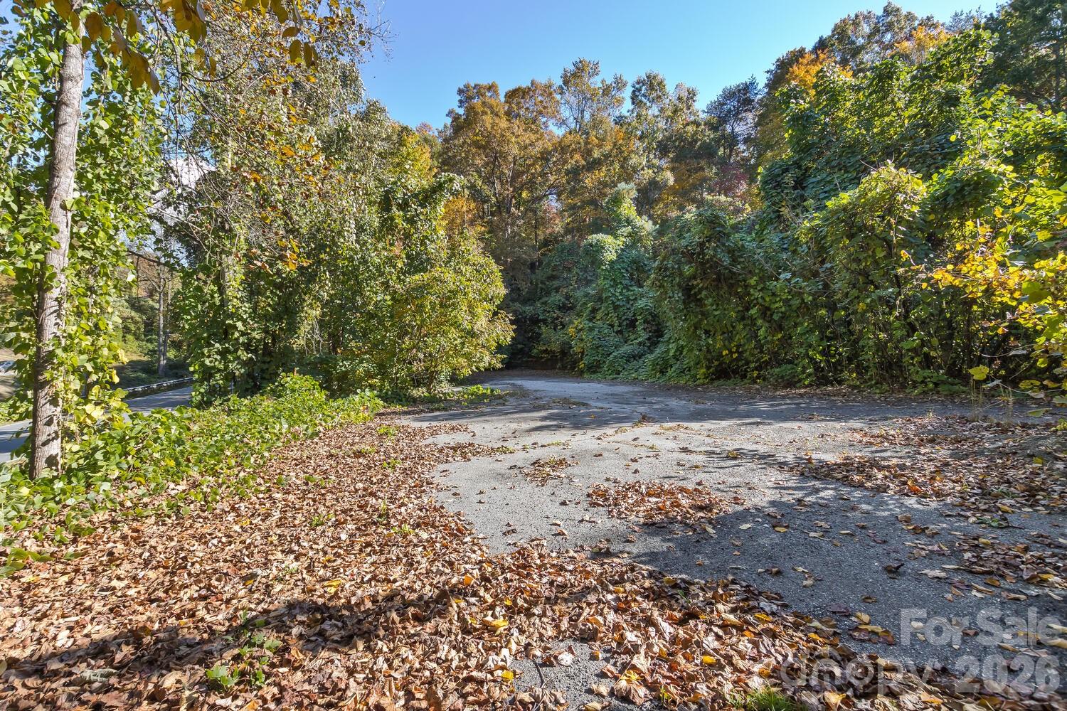 0 Waterside Drive Lot #1b And Lot #1c Property Photo 3