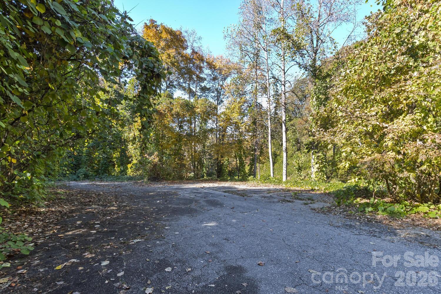 0 Waterside Drive Lot #1b And Lot #1c Property Photo 6