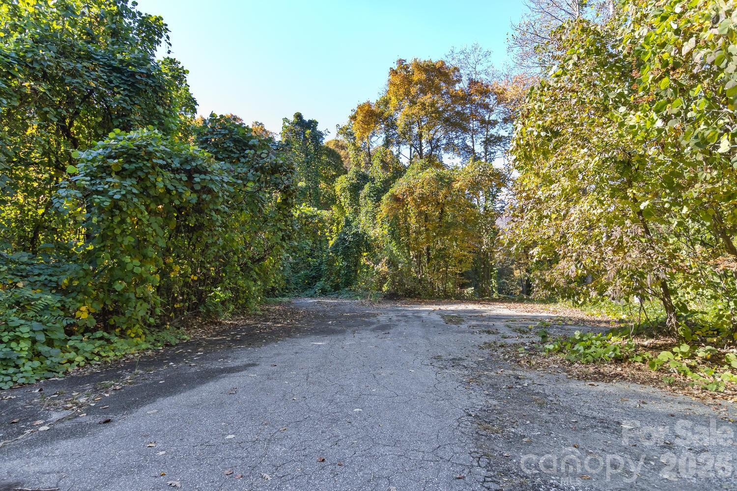 0 Waterside Drive Lot #1b And Lot #1c Property Photo 7