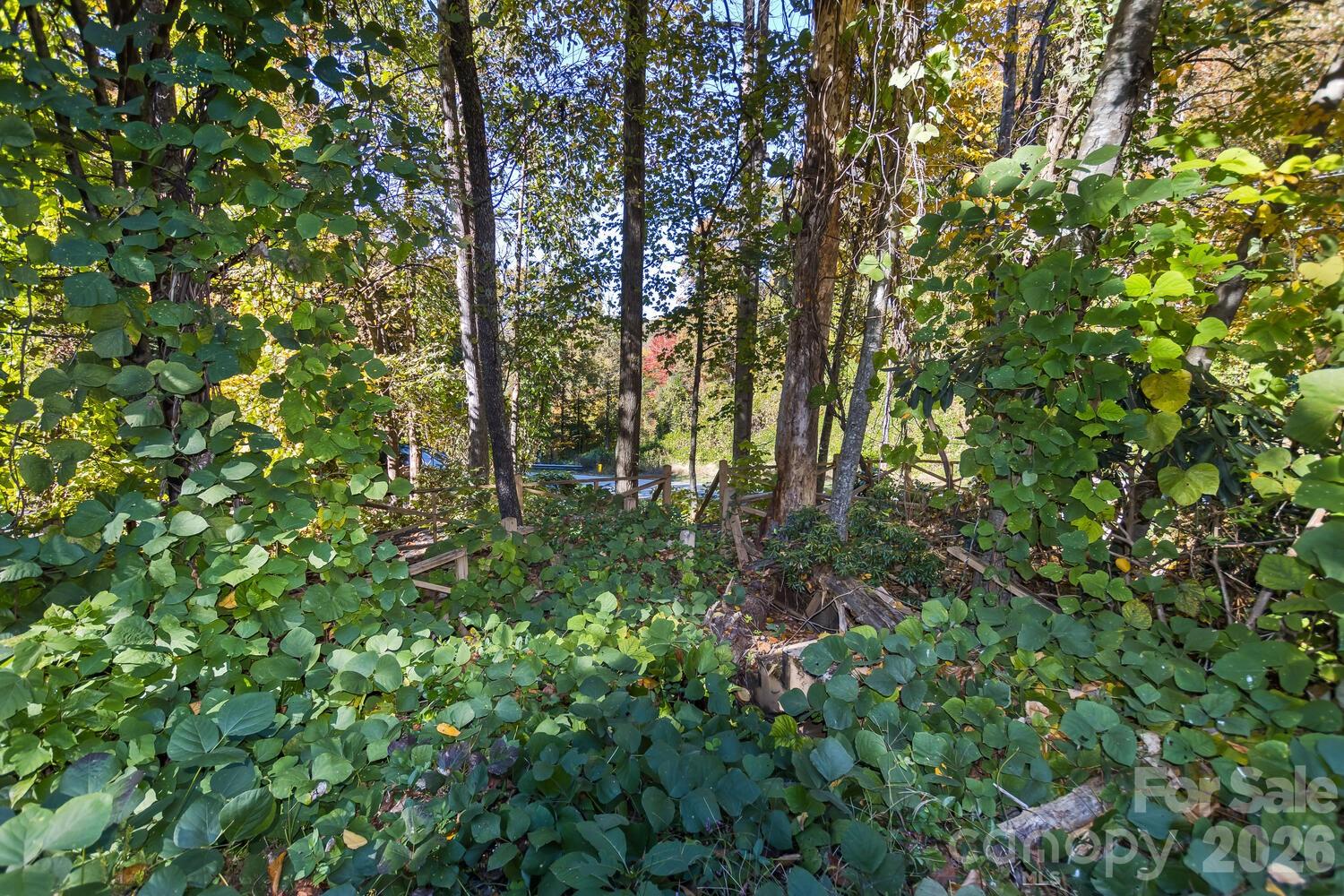0 Waterside Drive Lot #1b And Lot #1c Property Photo 9