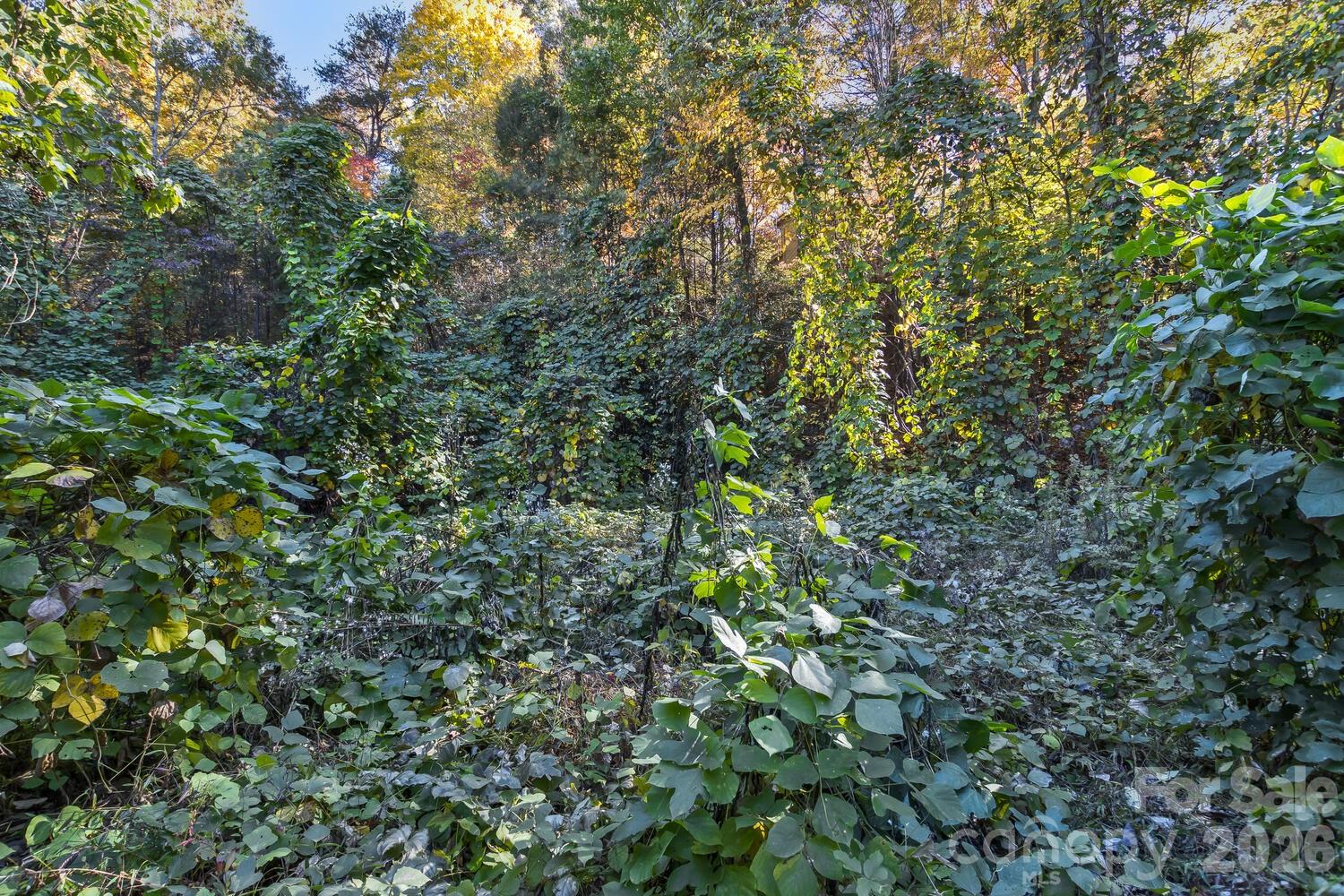 0 Waterside Drive Lot #1b And Lot #1c Property Photo 14