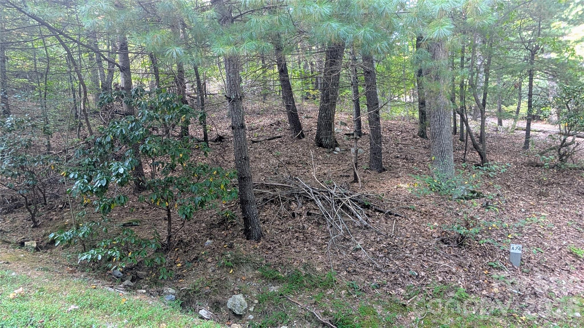 101 Scenic Drive 74 Property Photo 1