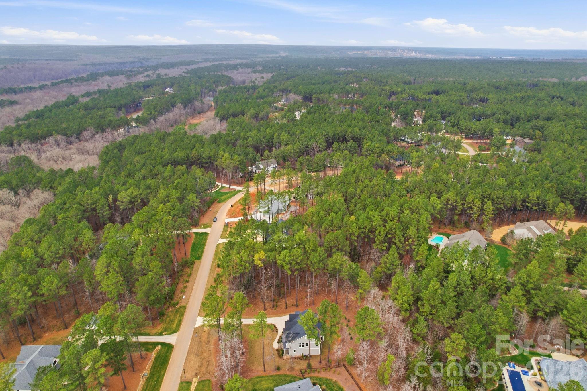 6188 Chimney Bluff Road 52 Property Photo 8