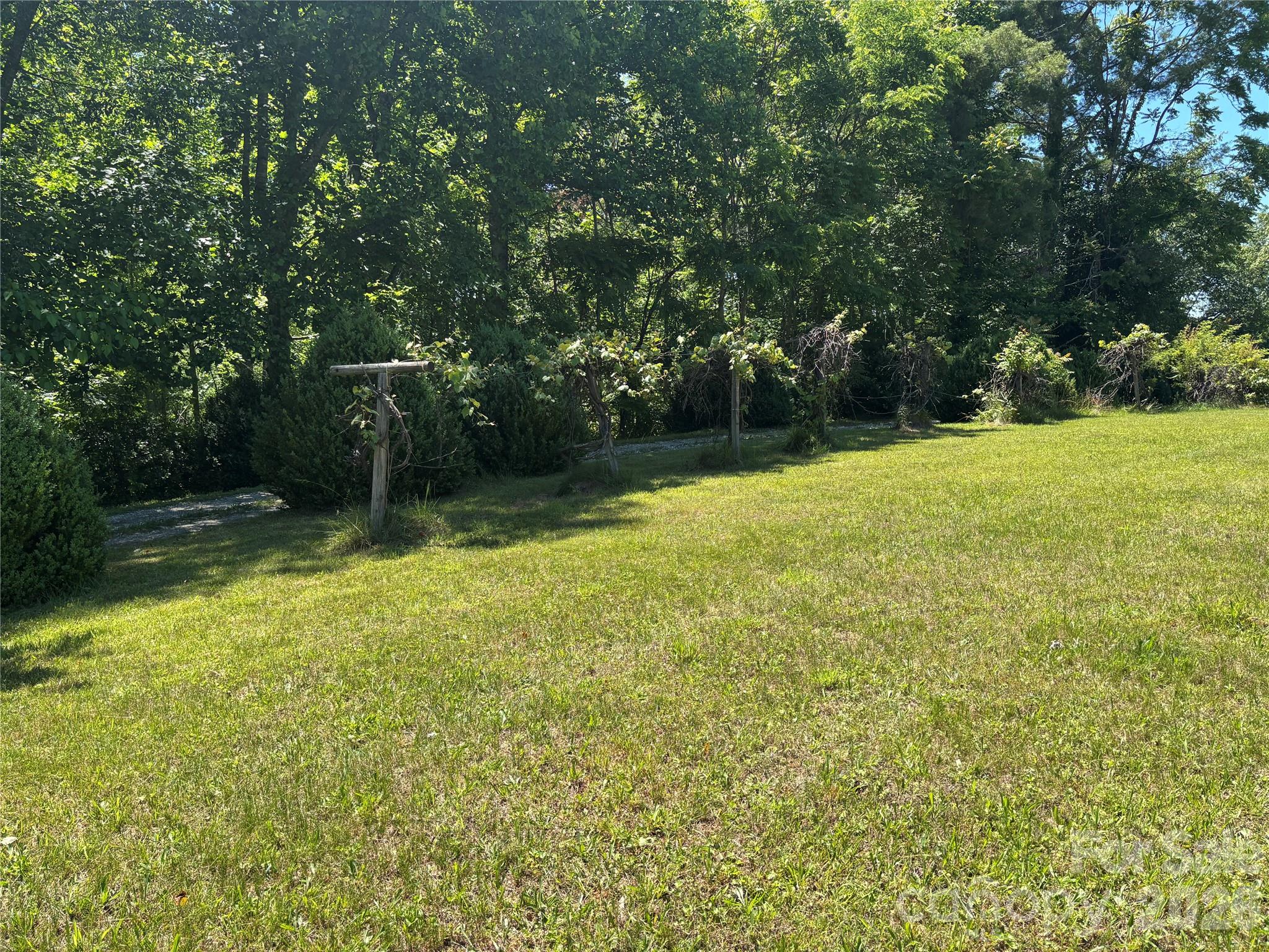 262 Blackberry Lane Property Photo 41
