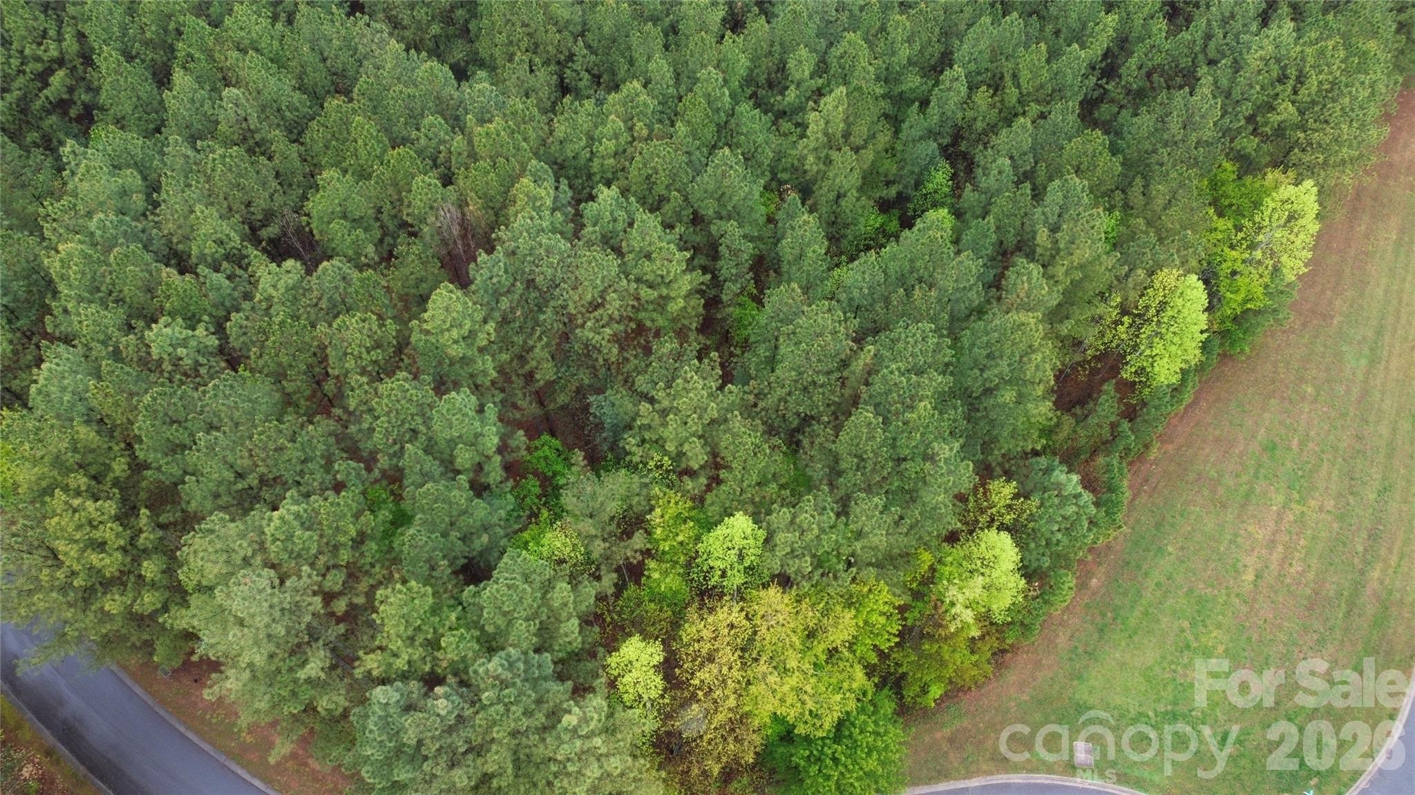101, 107 Table Rock Trace Property Photo 2