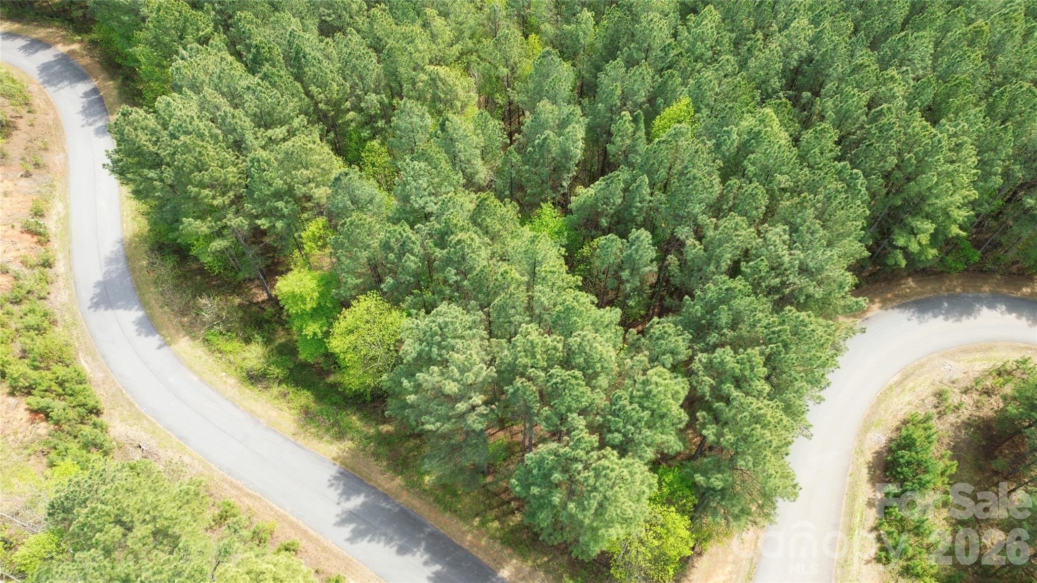 101, 107 Table Rock Trace Property Photo 6