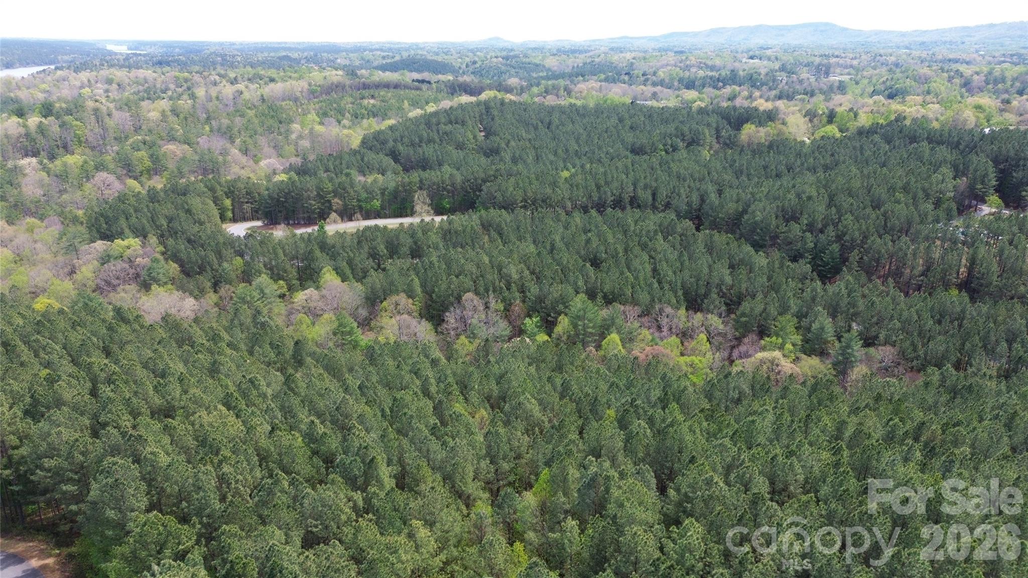 101, 107 Table Rock Trace Property Photo 7