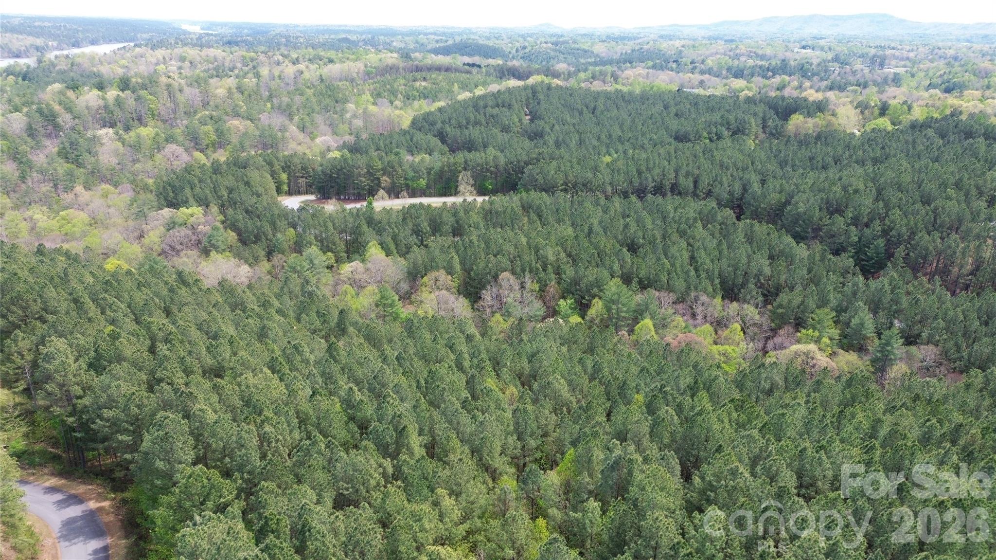 101, 107 Table Rock Trace Property Photo 10