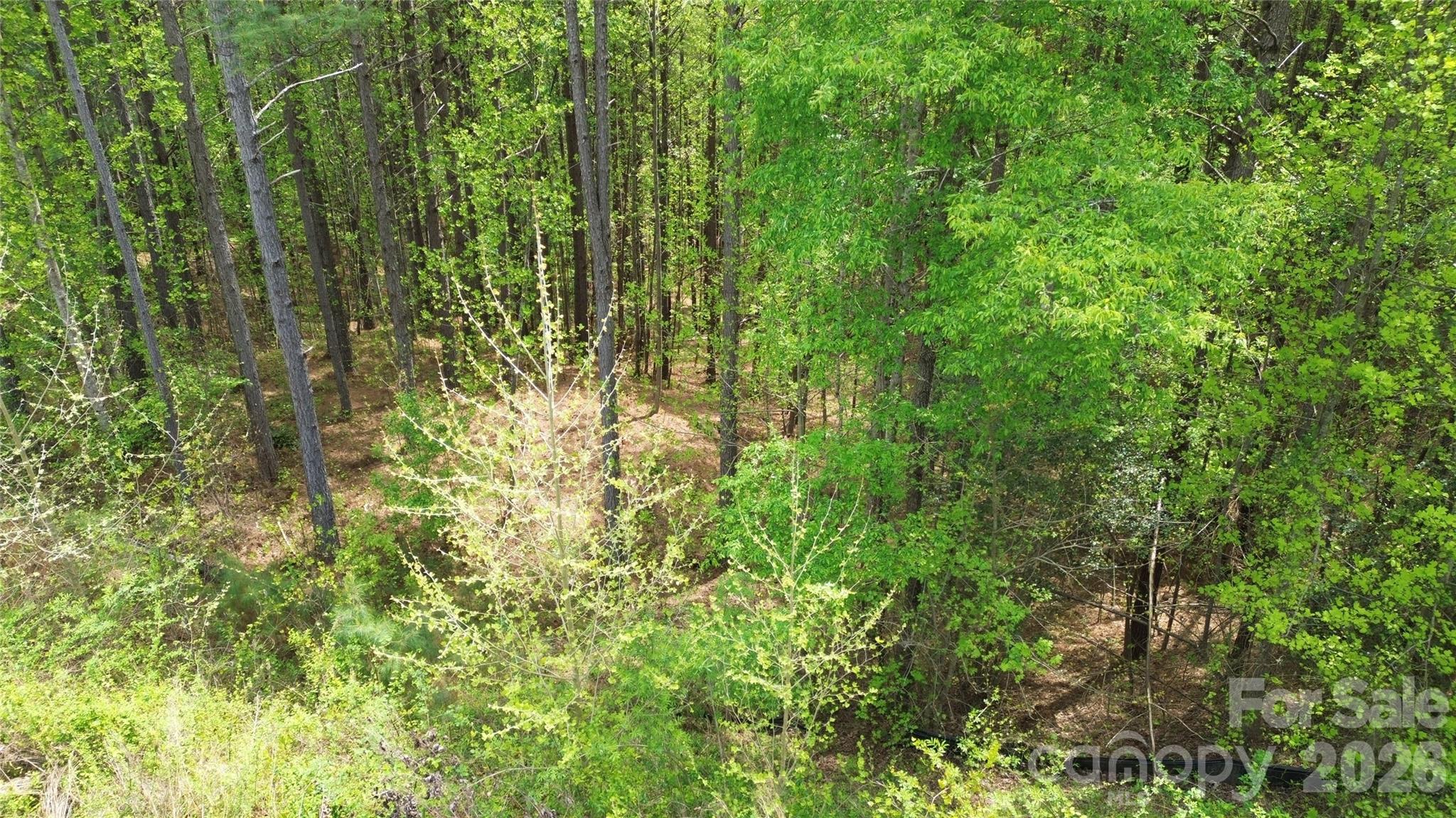 101, 107 Table Rock Trace Property Photo 11