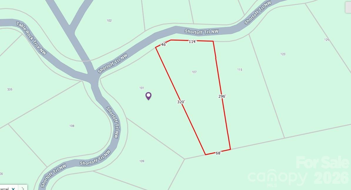 101, 107 Table Rock Trace Property Photo 16