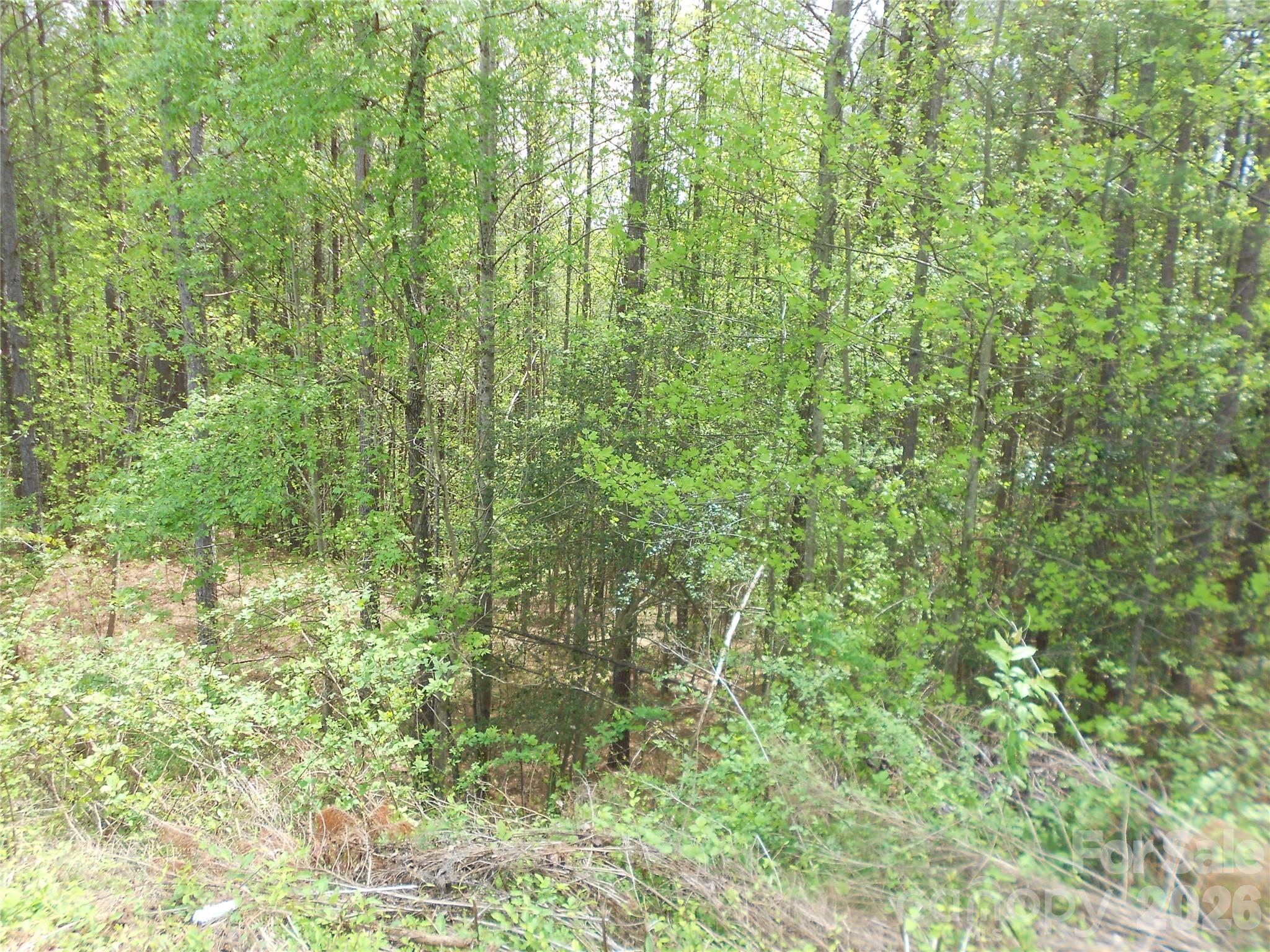 101, 107 Table Rock Trace Property Photo 24