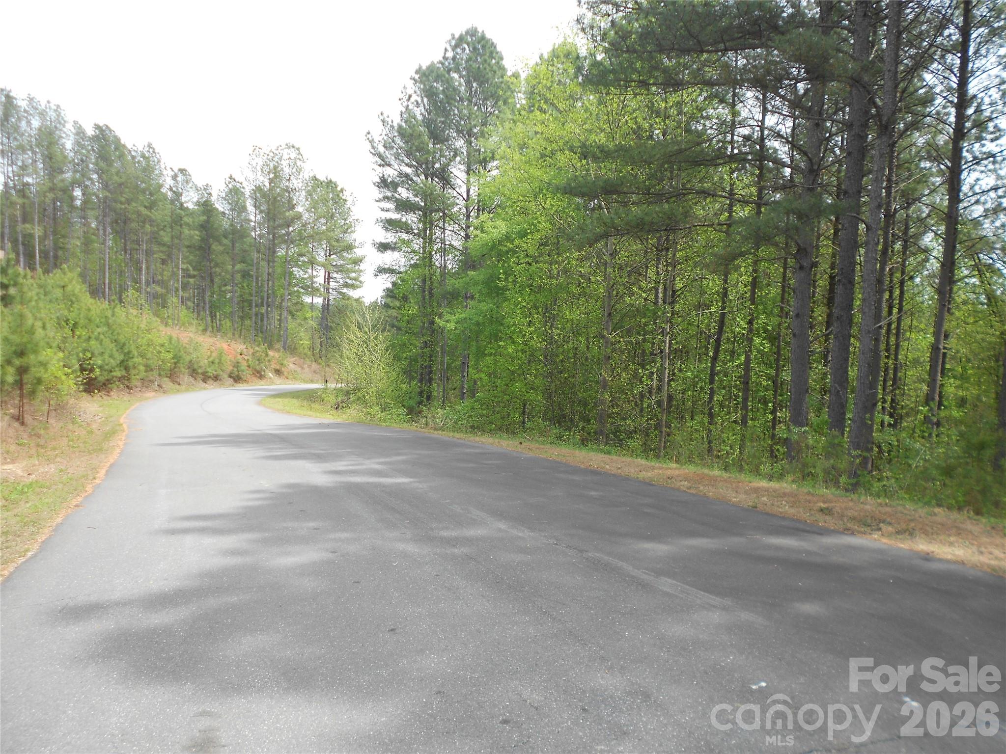 101, 107 Table Rock Trace Property Photo 27