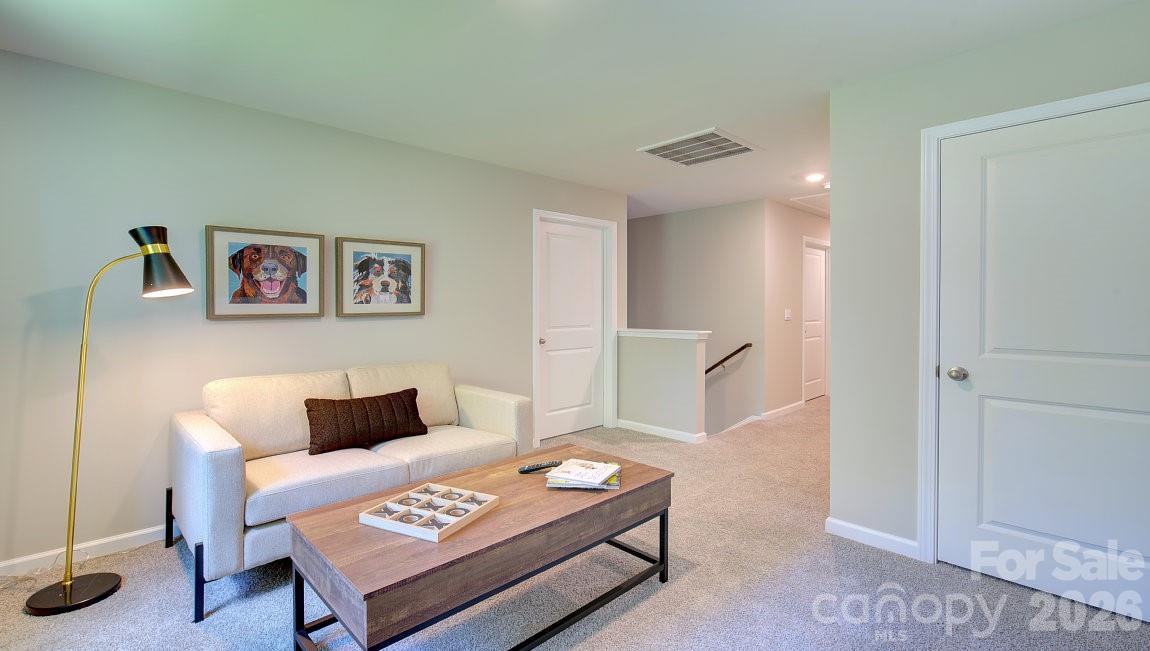 65 Cora View Trail Property Photo 20
