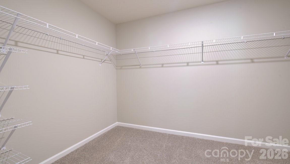 65 Cora View Trail Property Photo 27
