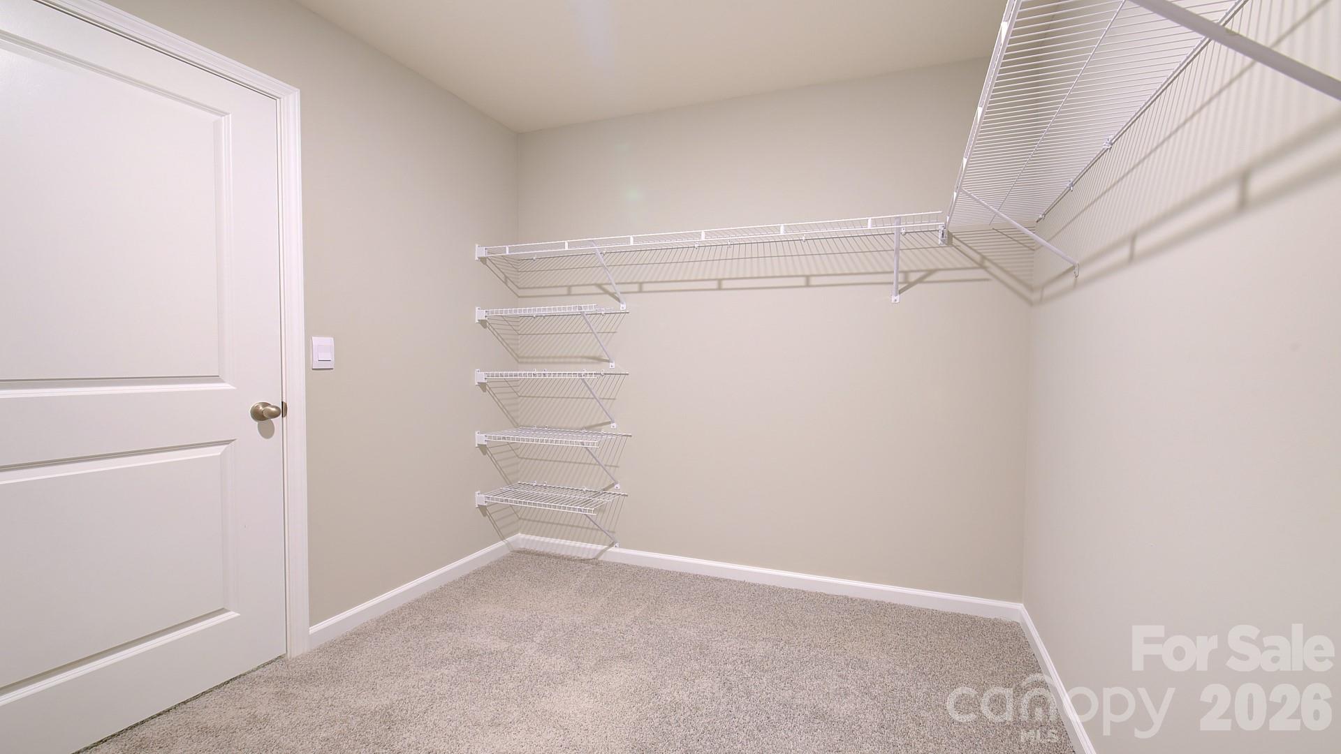 65 Cora View Trail Property Photo 36
