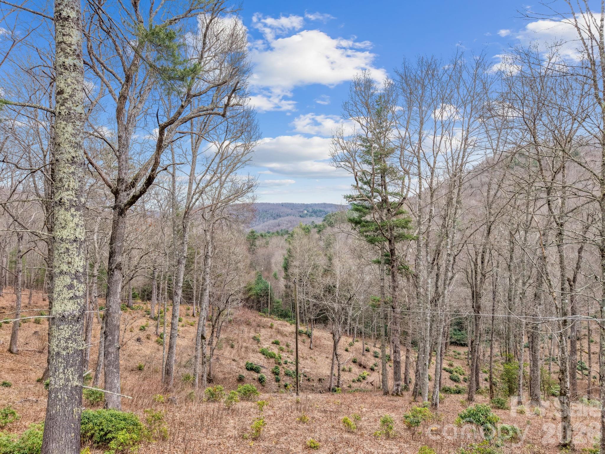 580 N Robinson Creek Road Property Photo 3