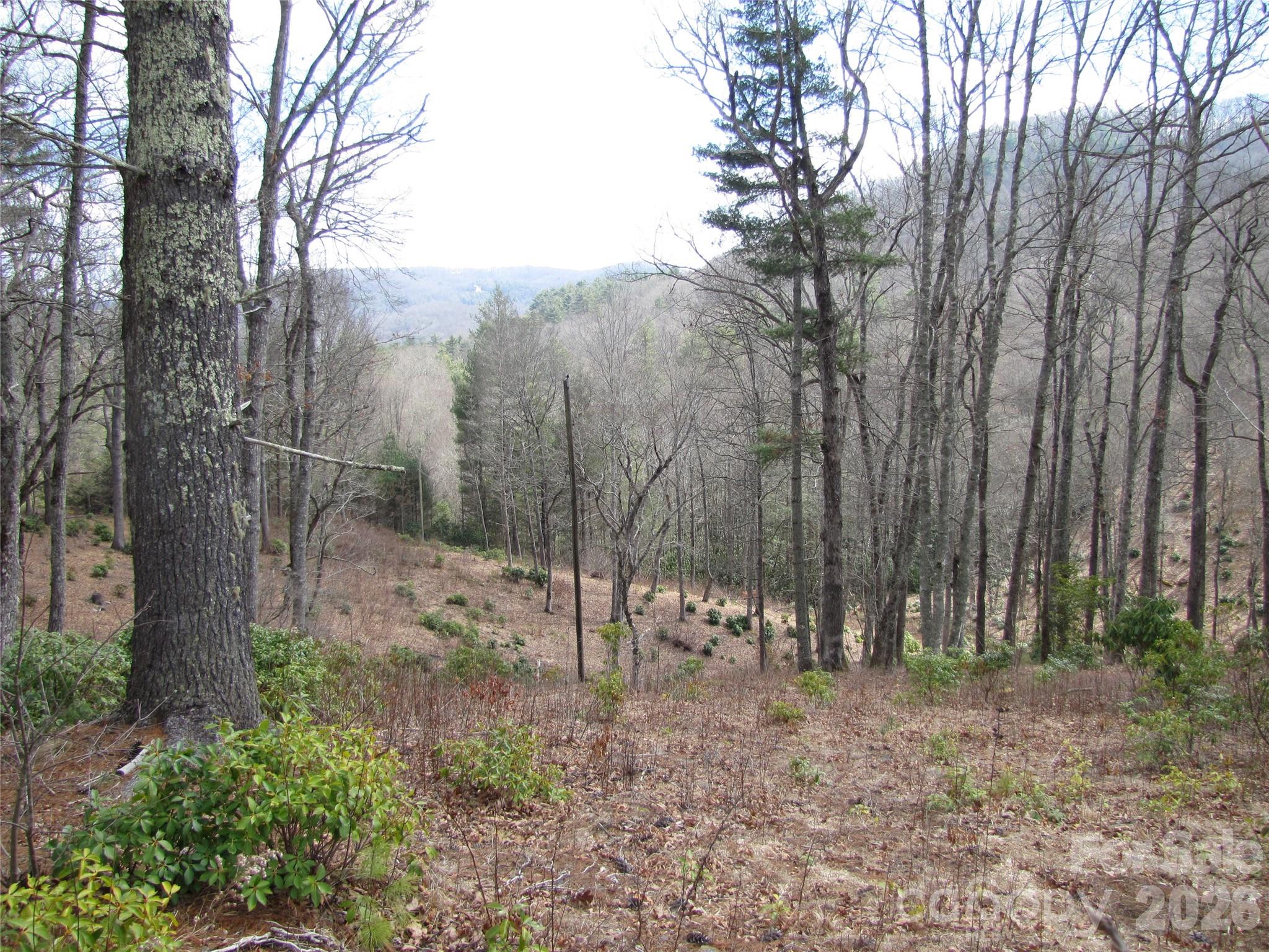 580 N Robinson Creek Road Property Photo 8