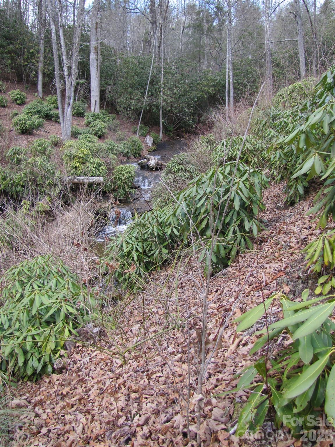 580 N Robinson Creek Road Property Photo 10