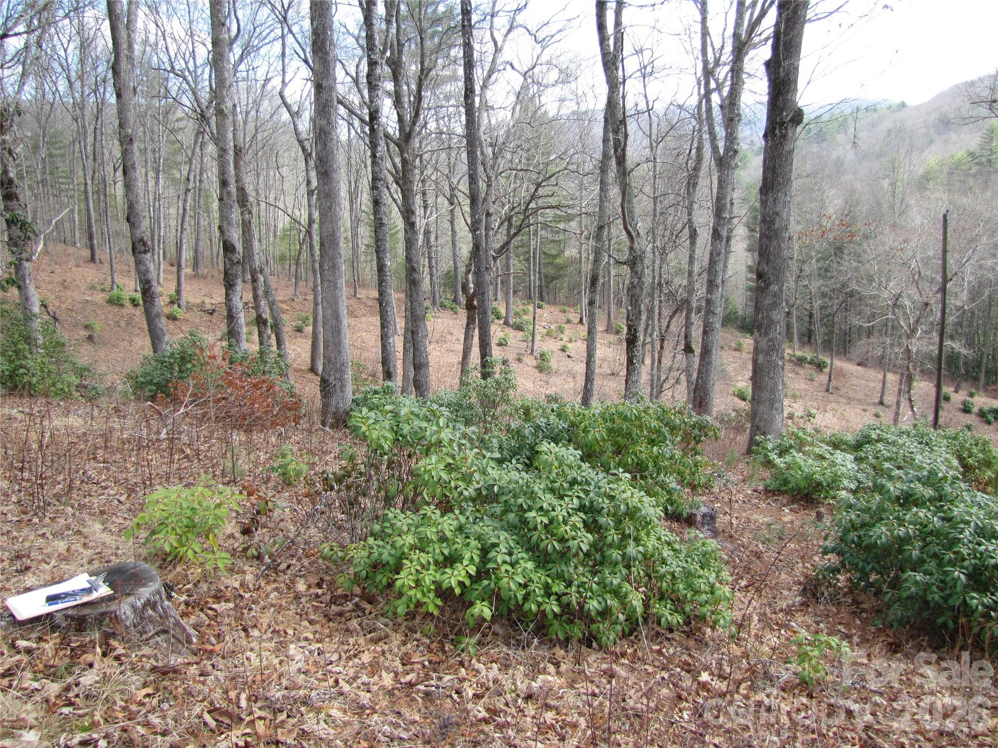 580 N Robinson Creek Road Property Photo 11