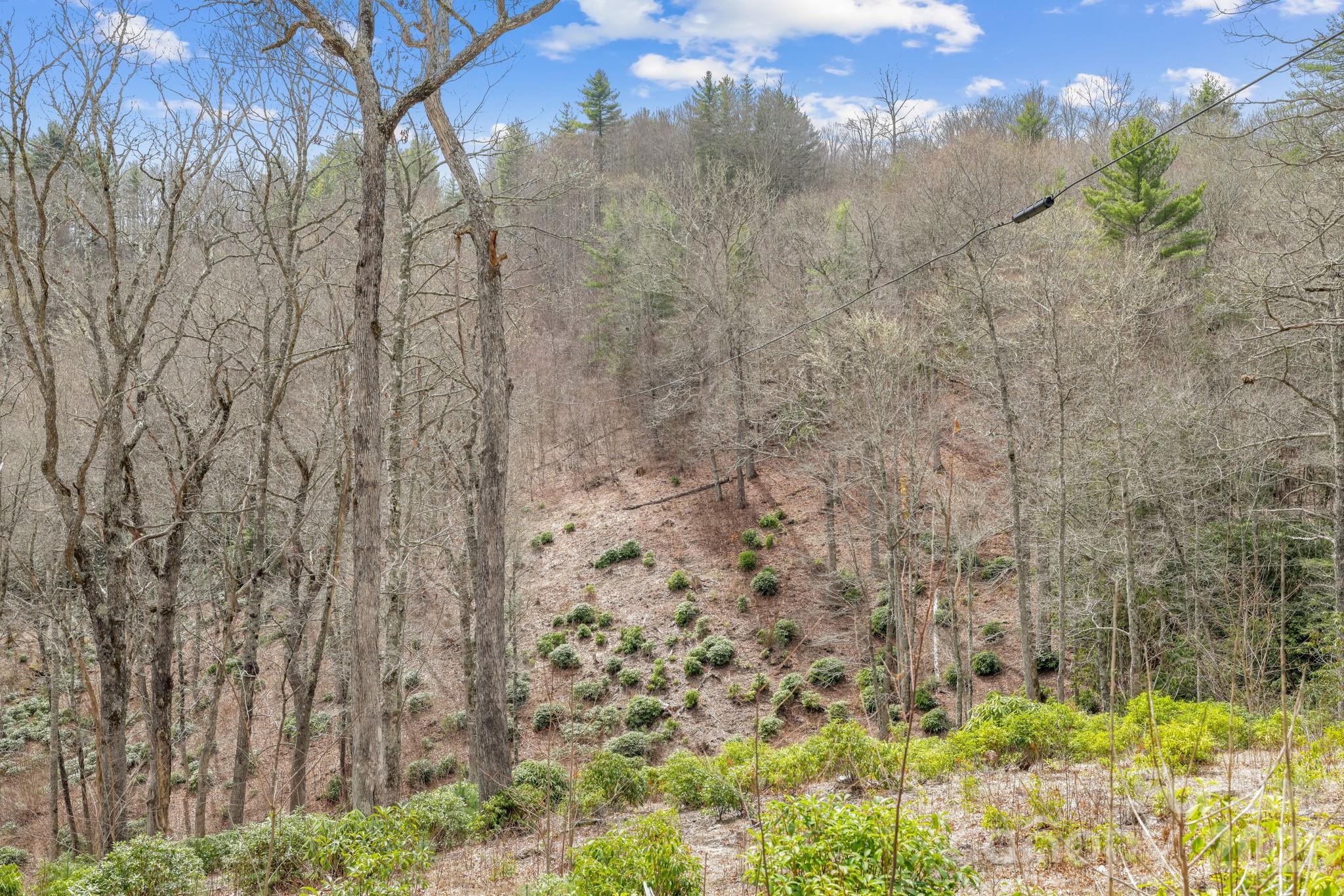 580 N Robinson Creek Road Property Photo 13