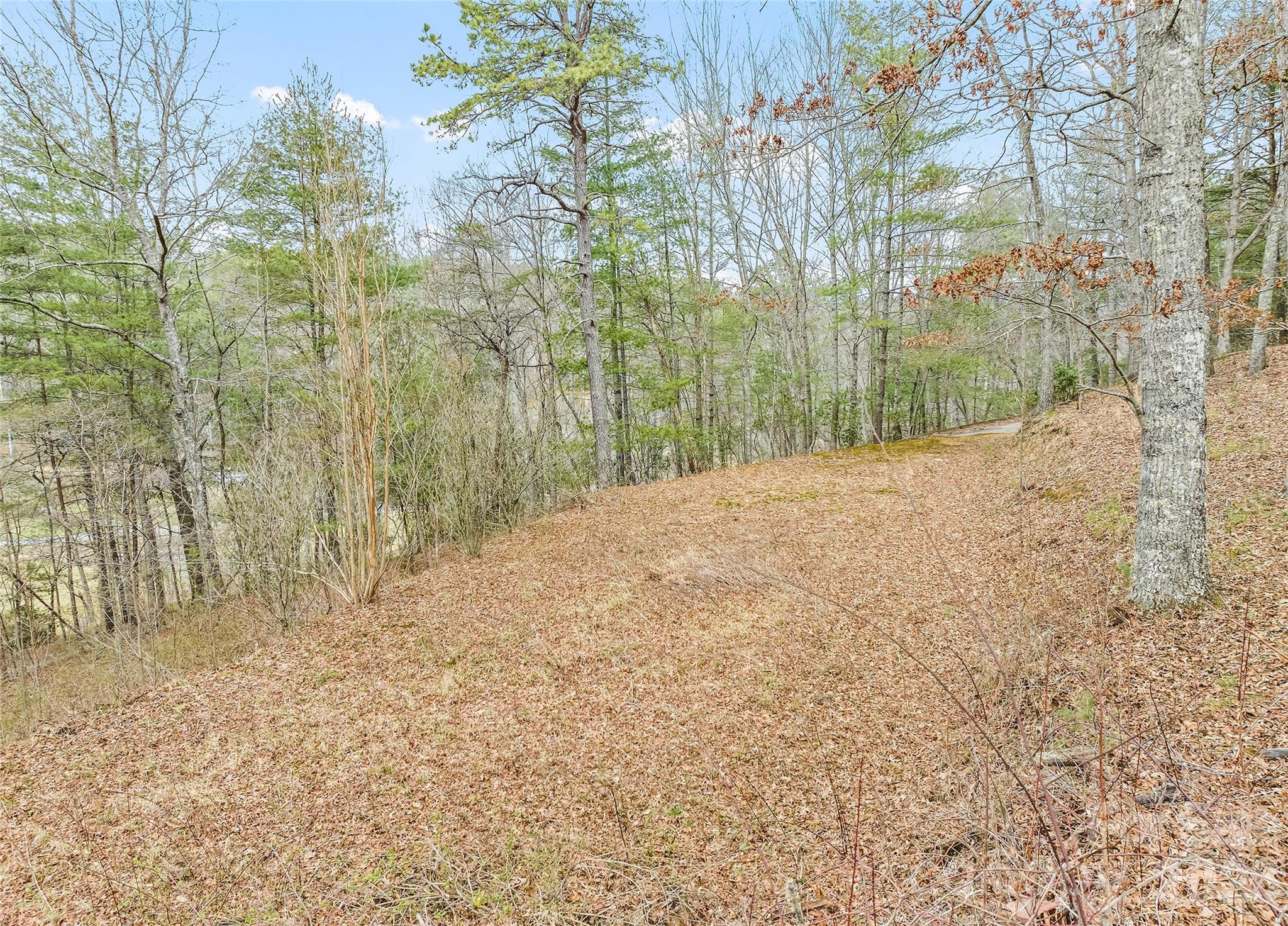 171 Fortner Road Property Photo 29