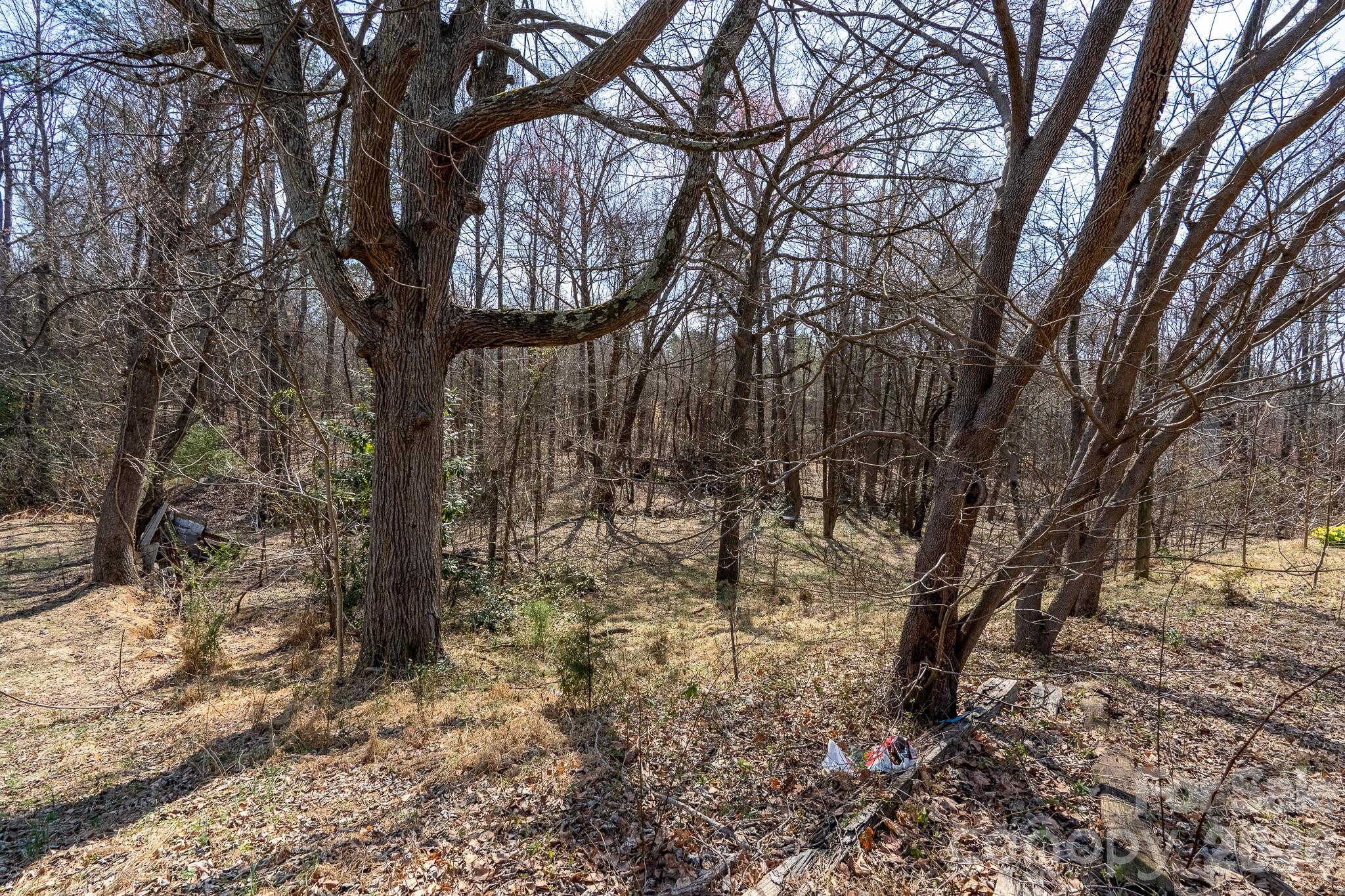 2851 Davidson Highway Property Photo 9