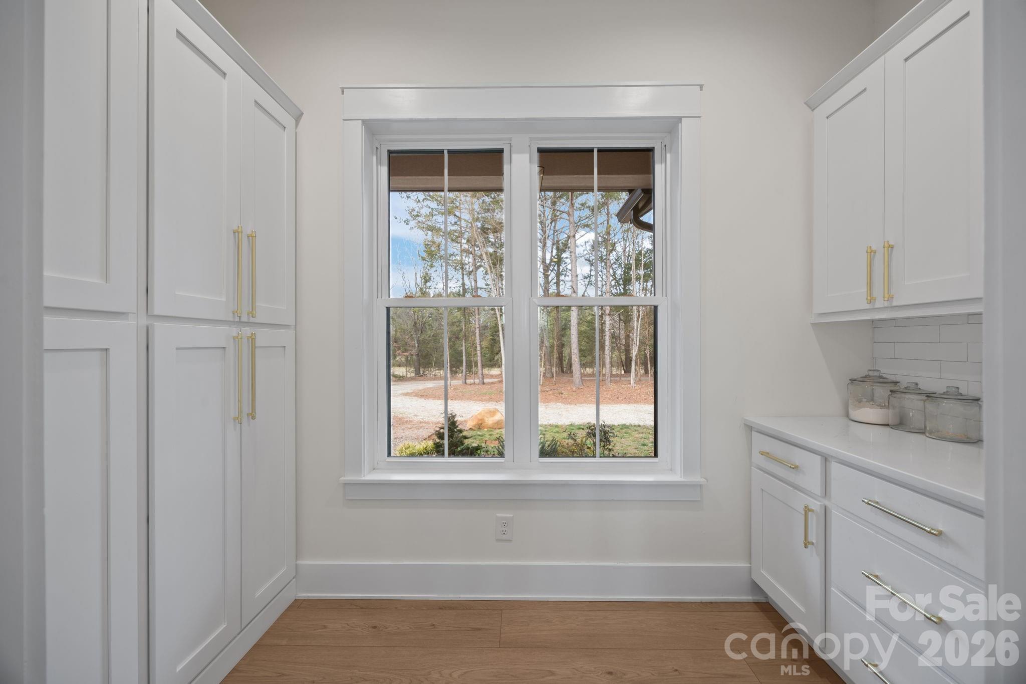 465 Baxx Drive Property Photo 20