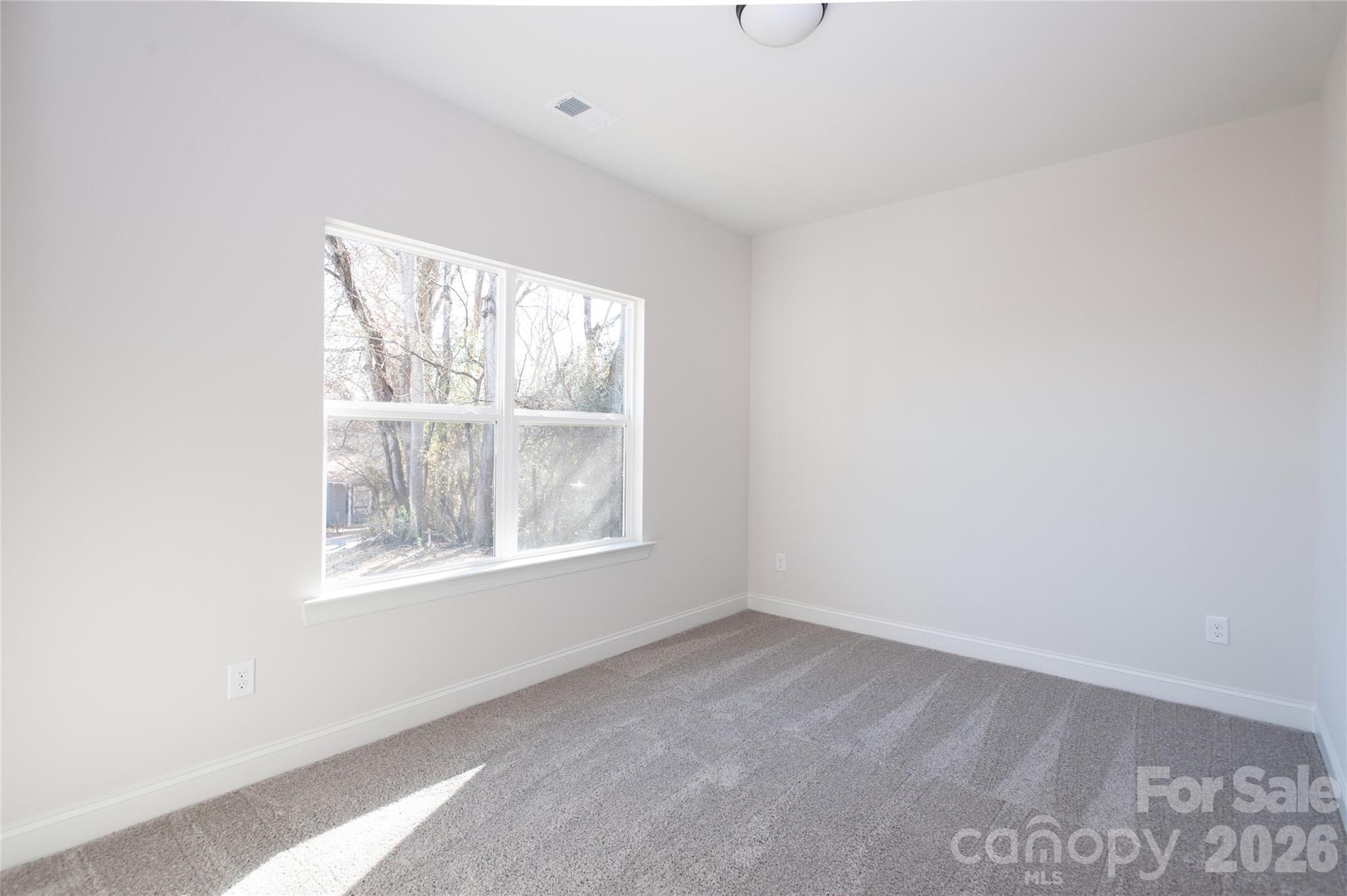 0 Lowesville Meadows Road Property Photo 22