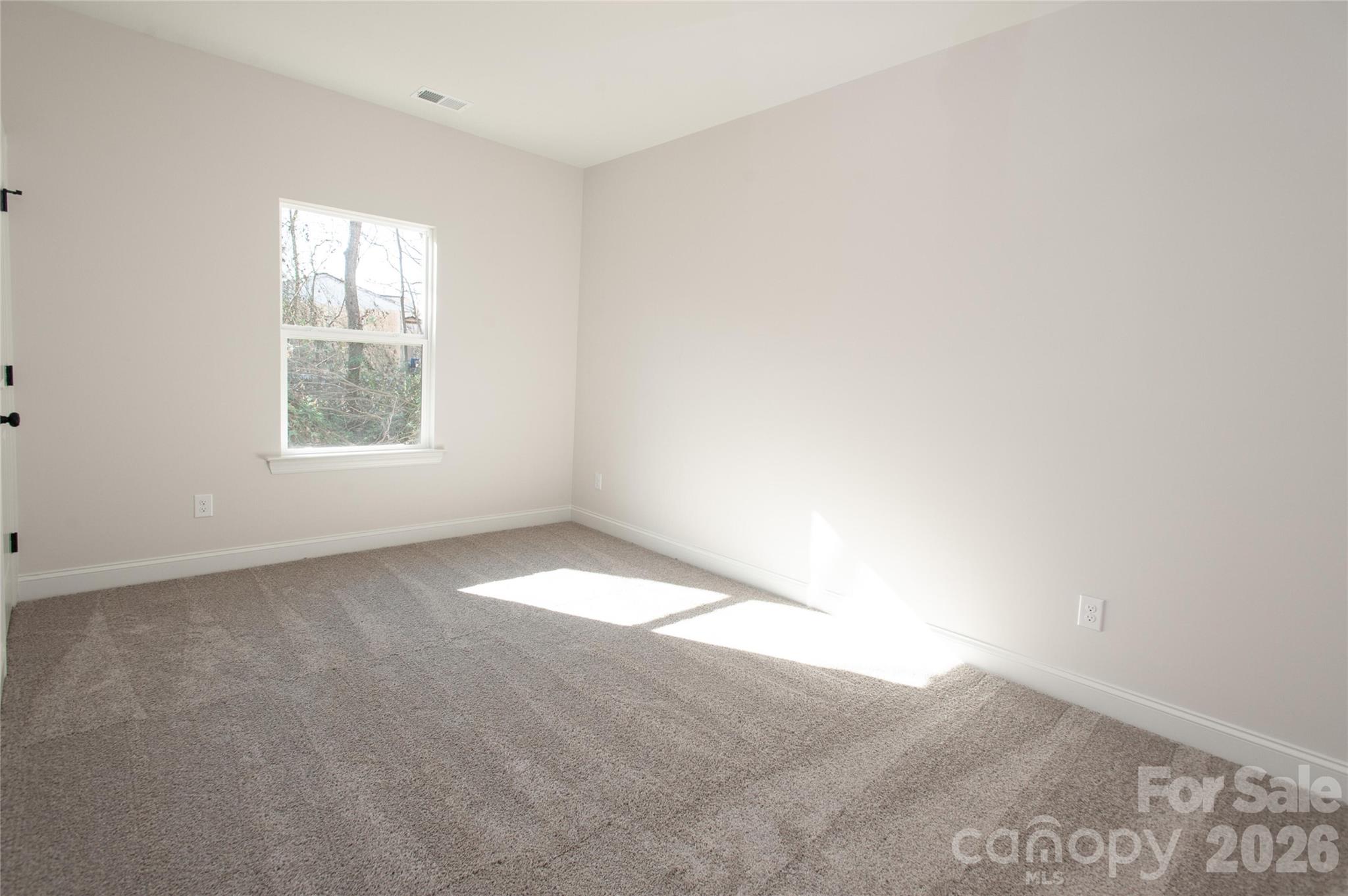 0 Lowesville Meadows Road Property Photo 24