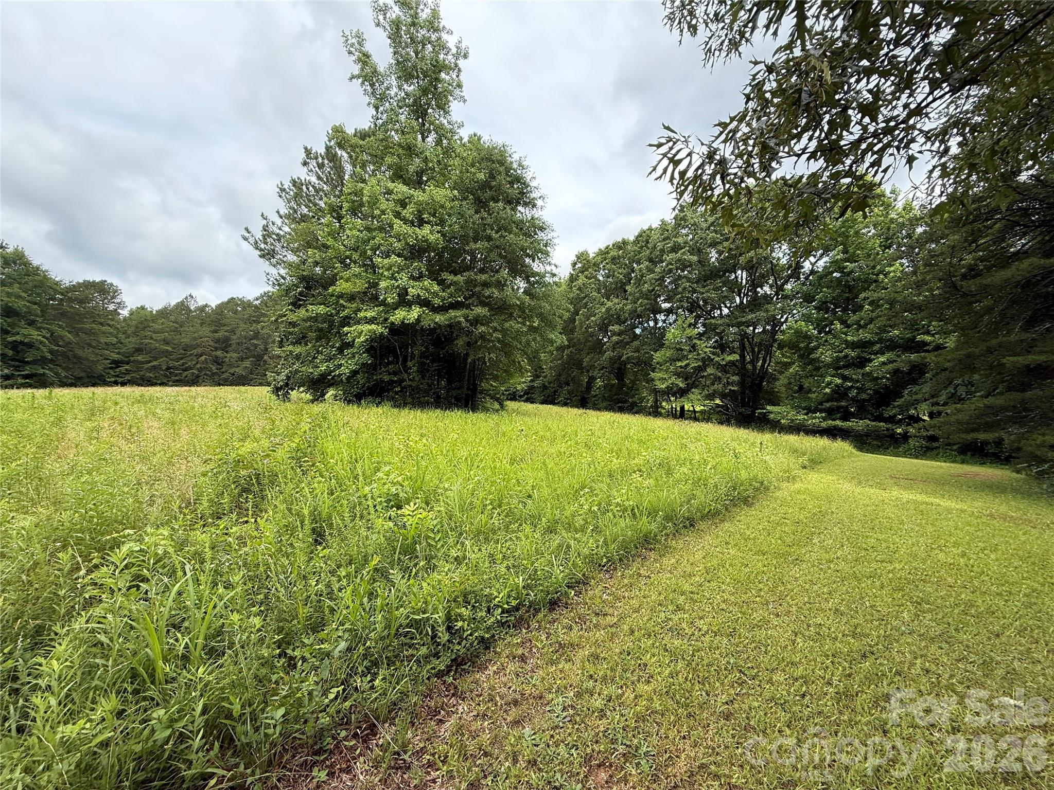 2430 Grubb Ferry Road Property Photo 2