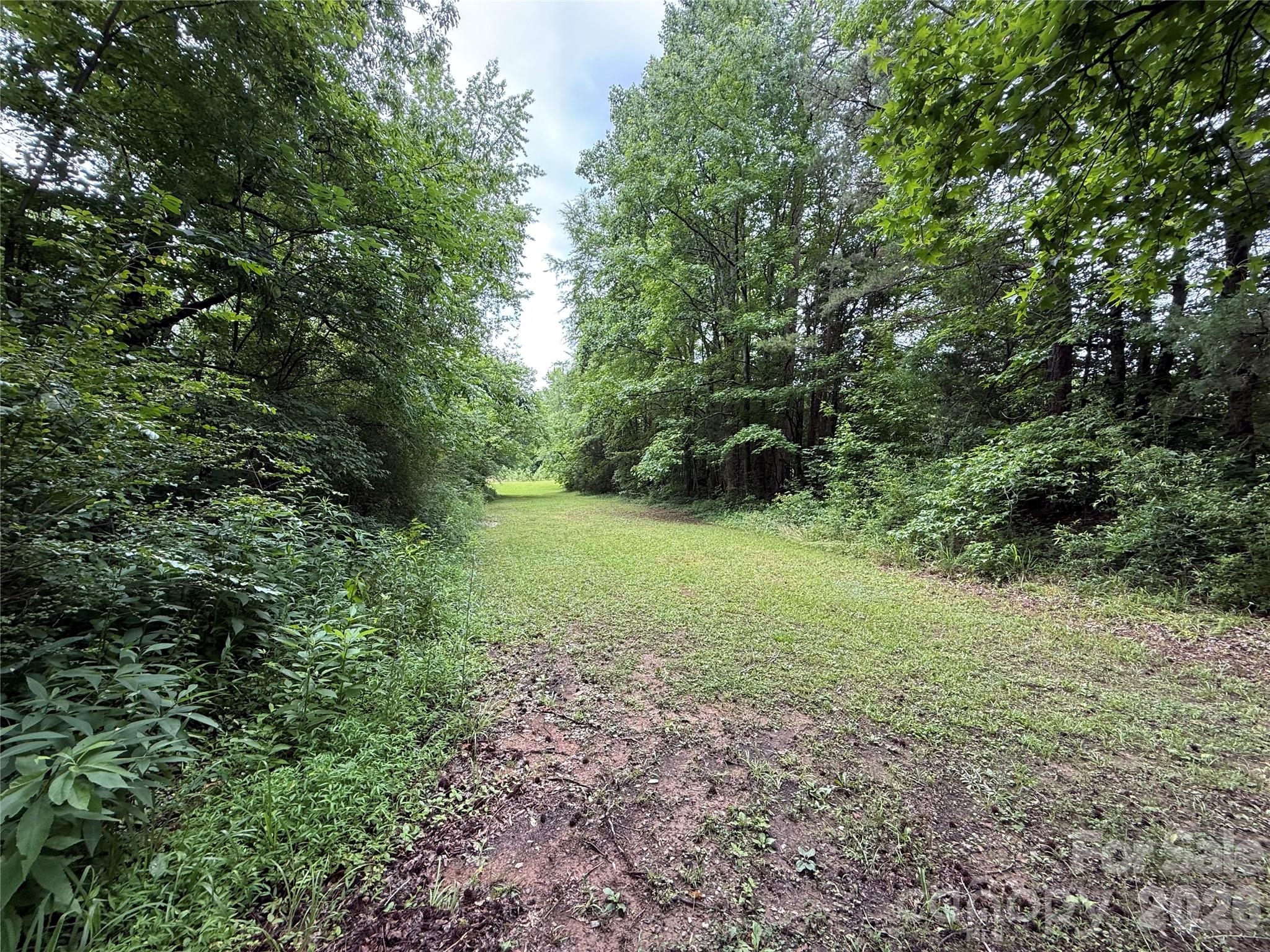 2430 Grubb Ferry Road Property Photo 4