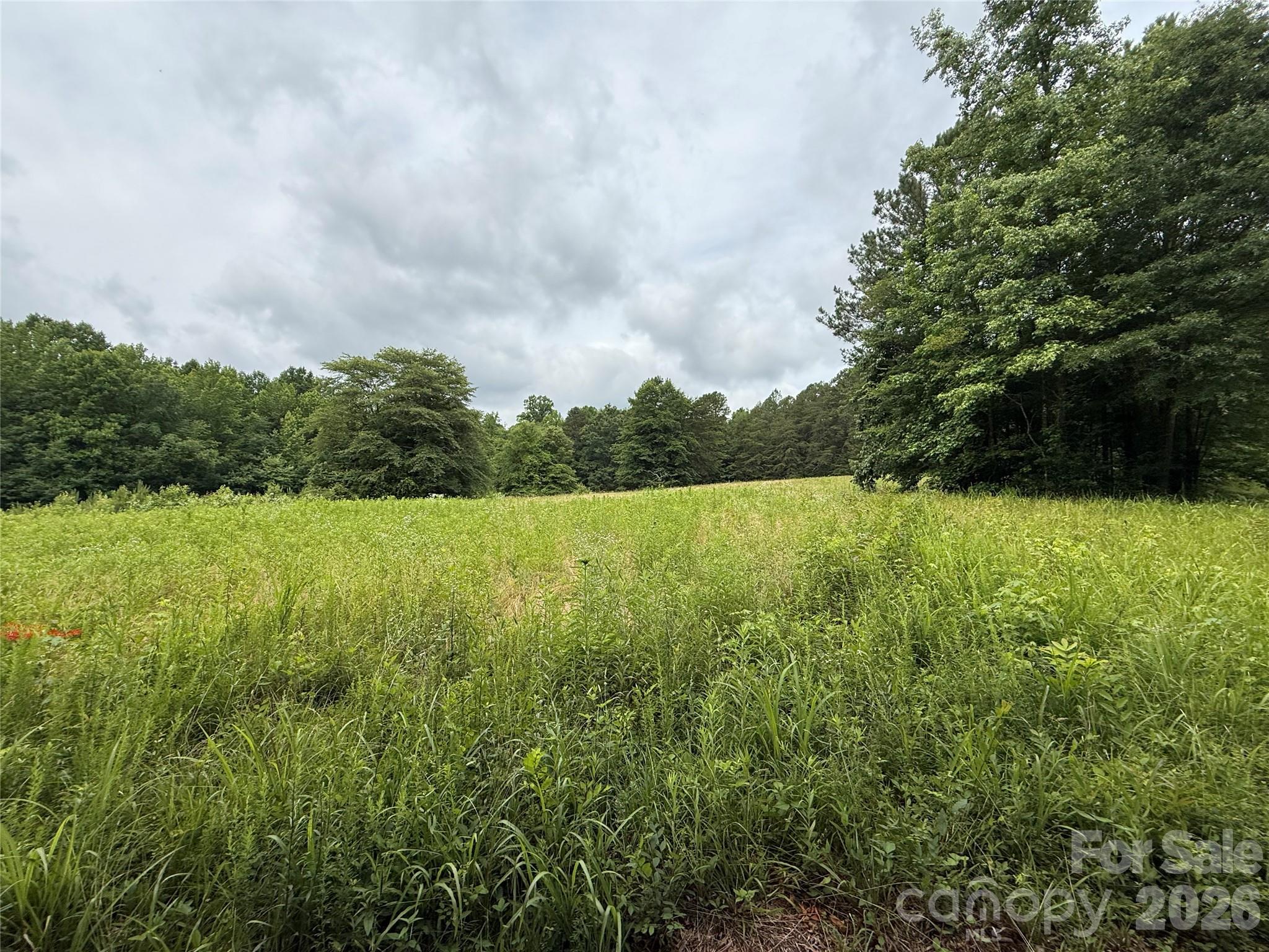 2430 Grubb Ferry Road Property Photo 16