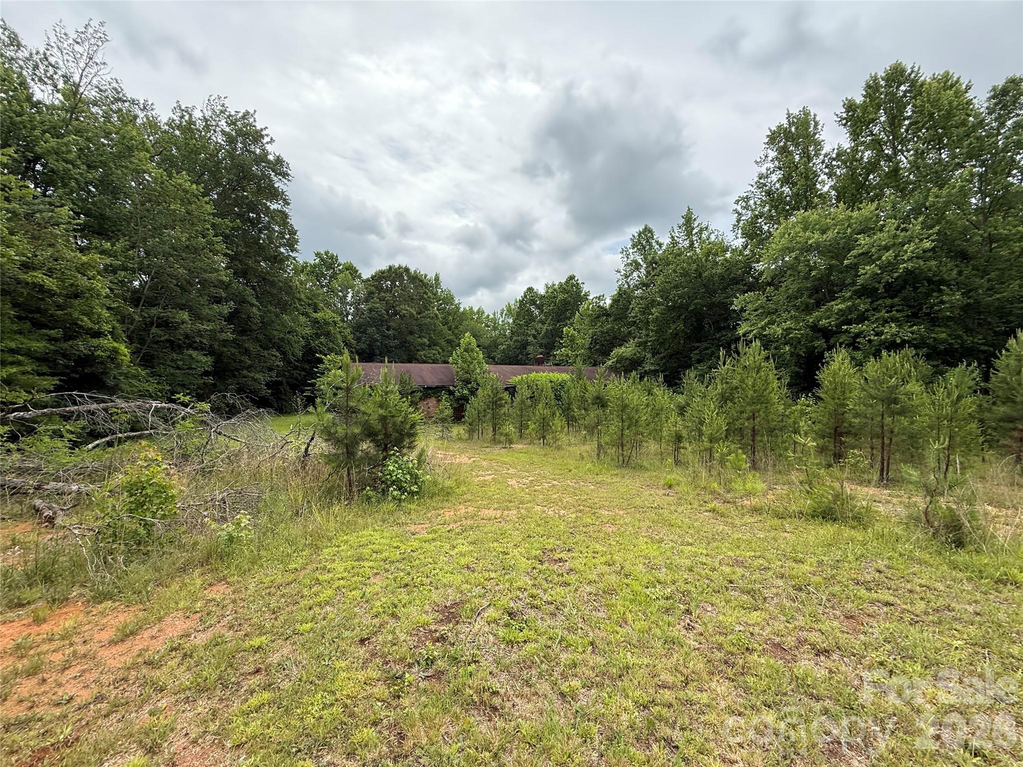 2430 Grubb Ferry Road Property Photo 18