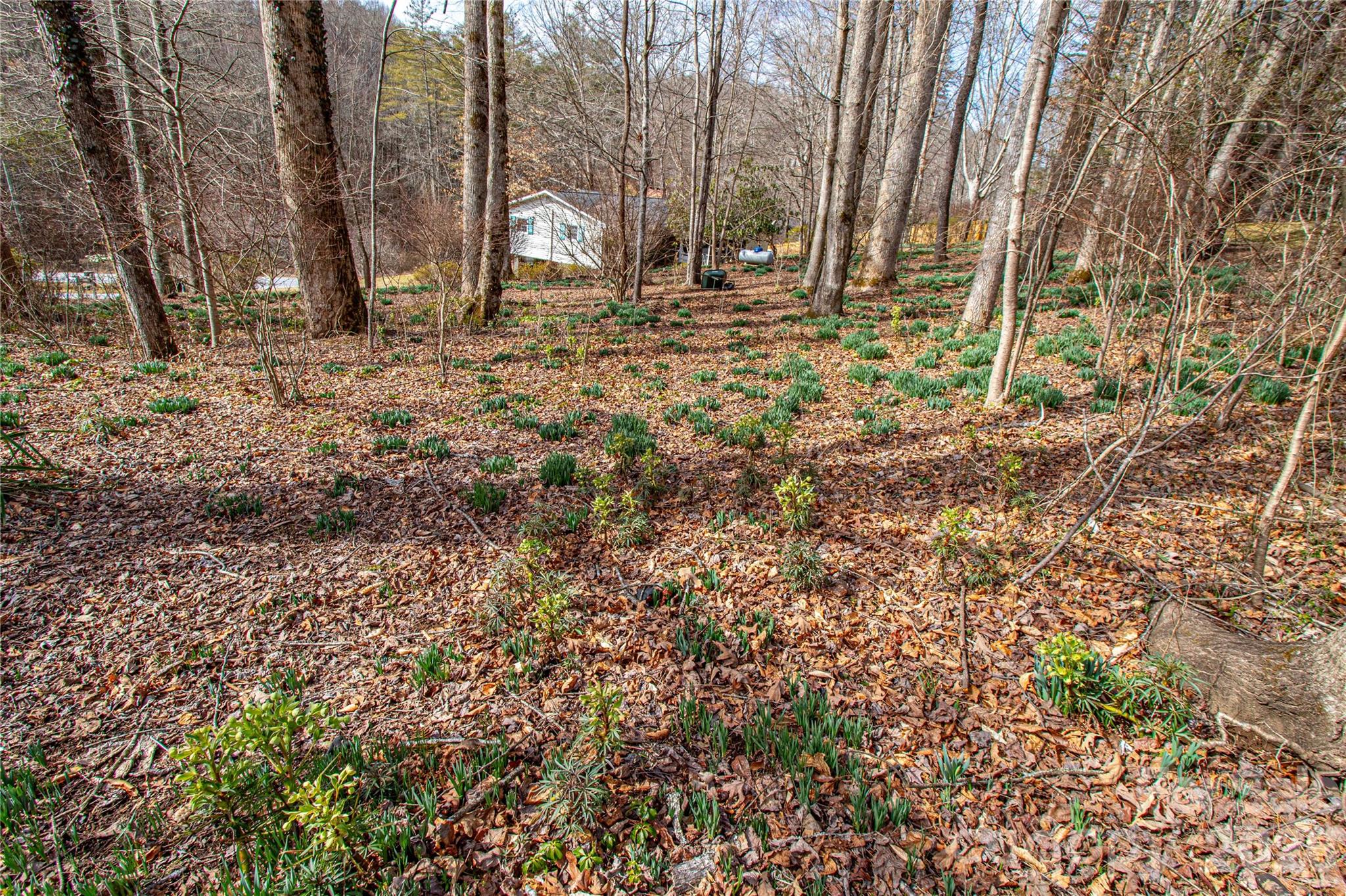 356 Pleasant Hill Drive Property Photo 34