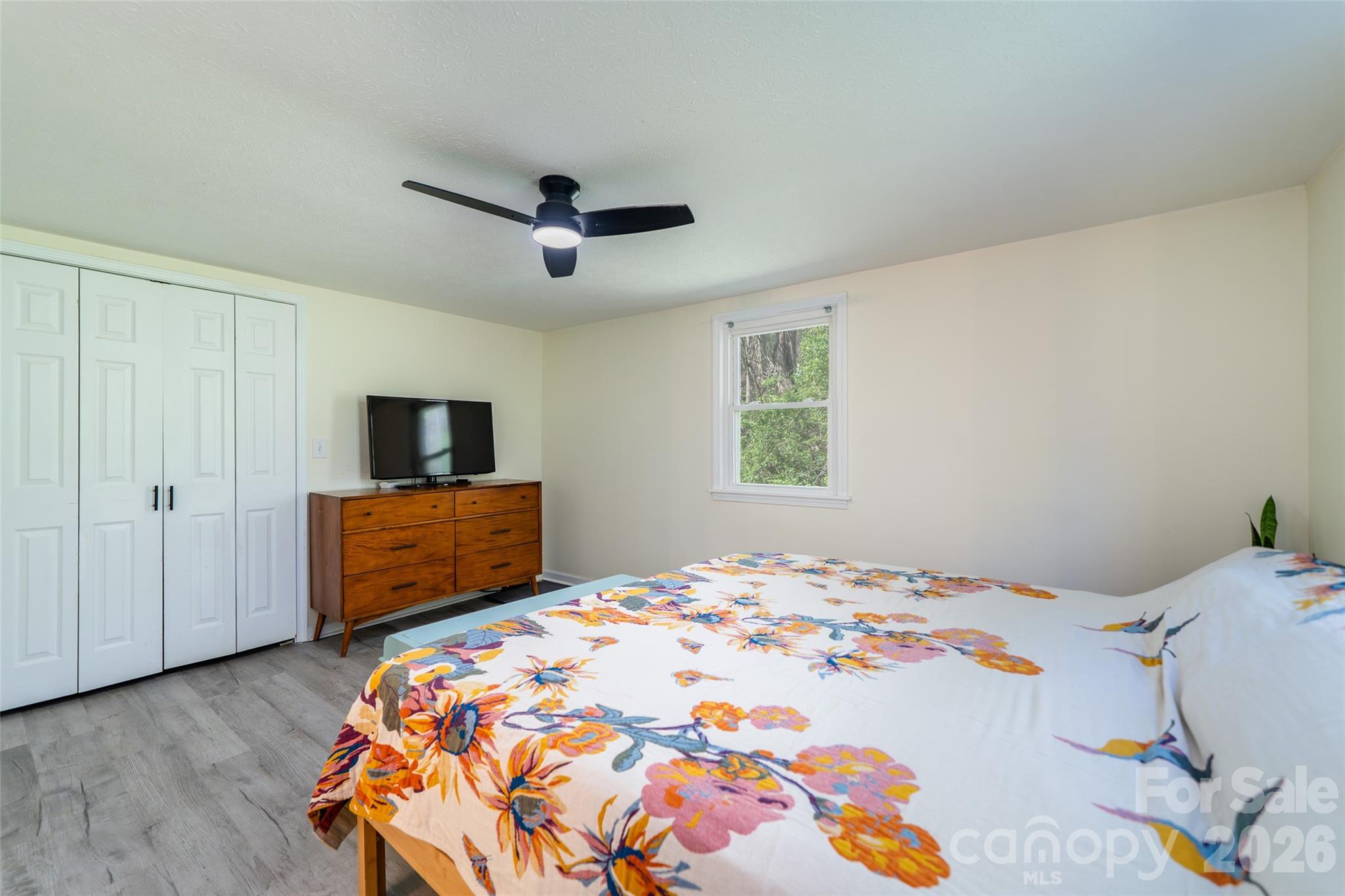 913 Dorothy Street Property Photo 15