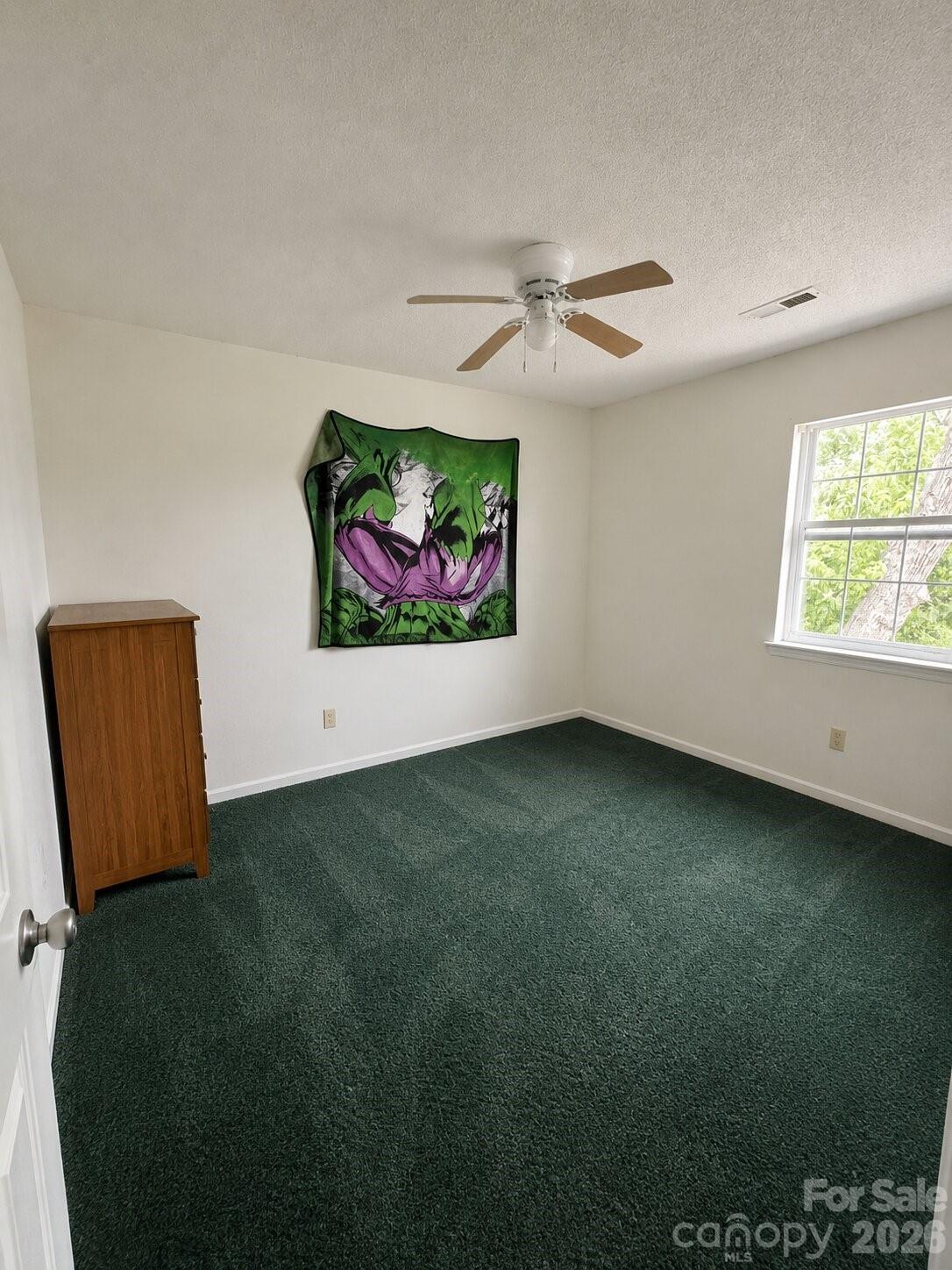 305 Mobley Street Property Photo 11