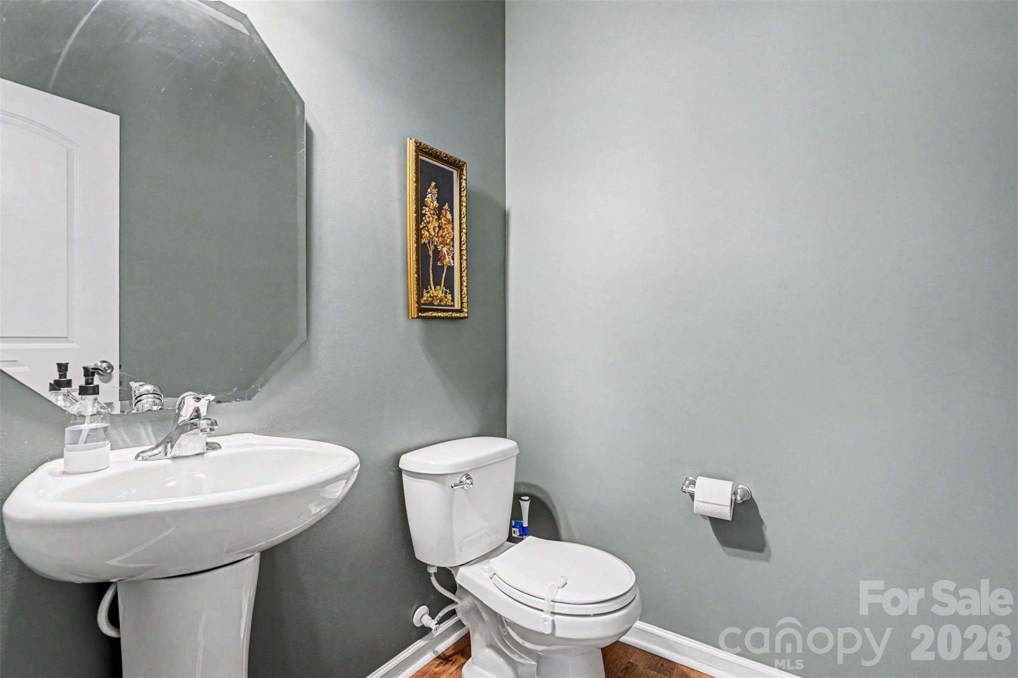 2419 Impatien Drive Property Photo 10