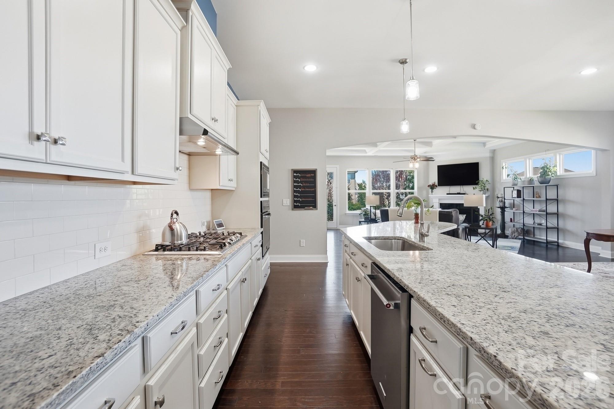 10046 Fox Trotter Lane Property Photo 19