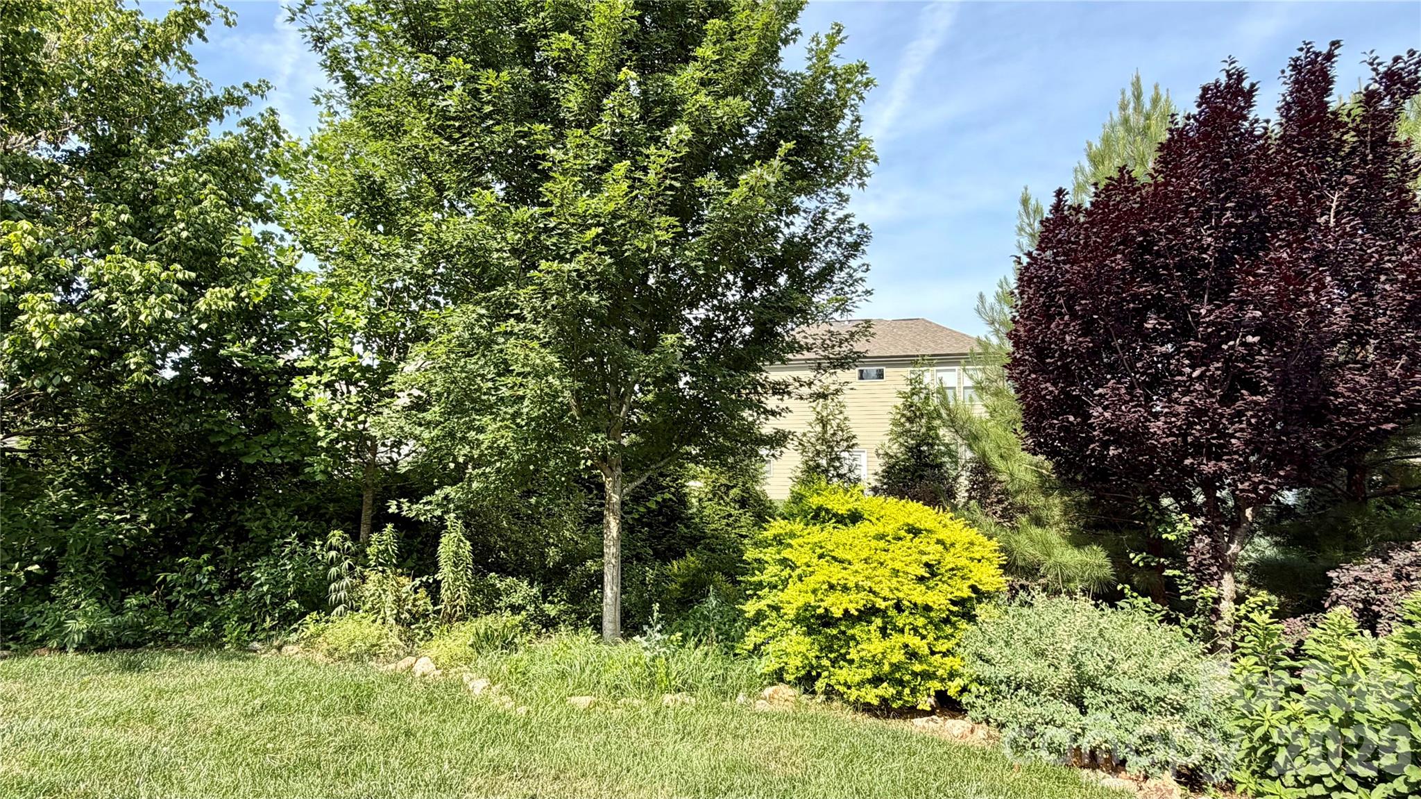 10046 Fox Trotter Lane Property Photo 40