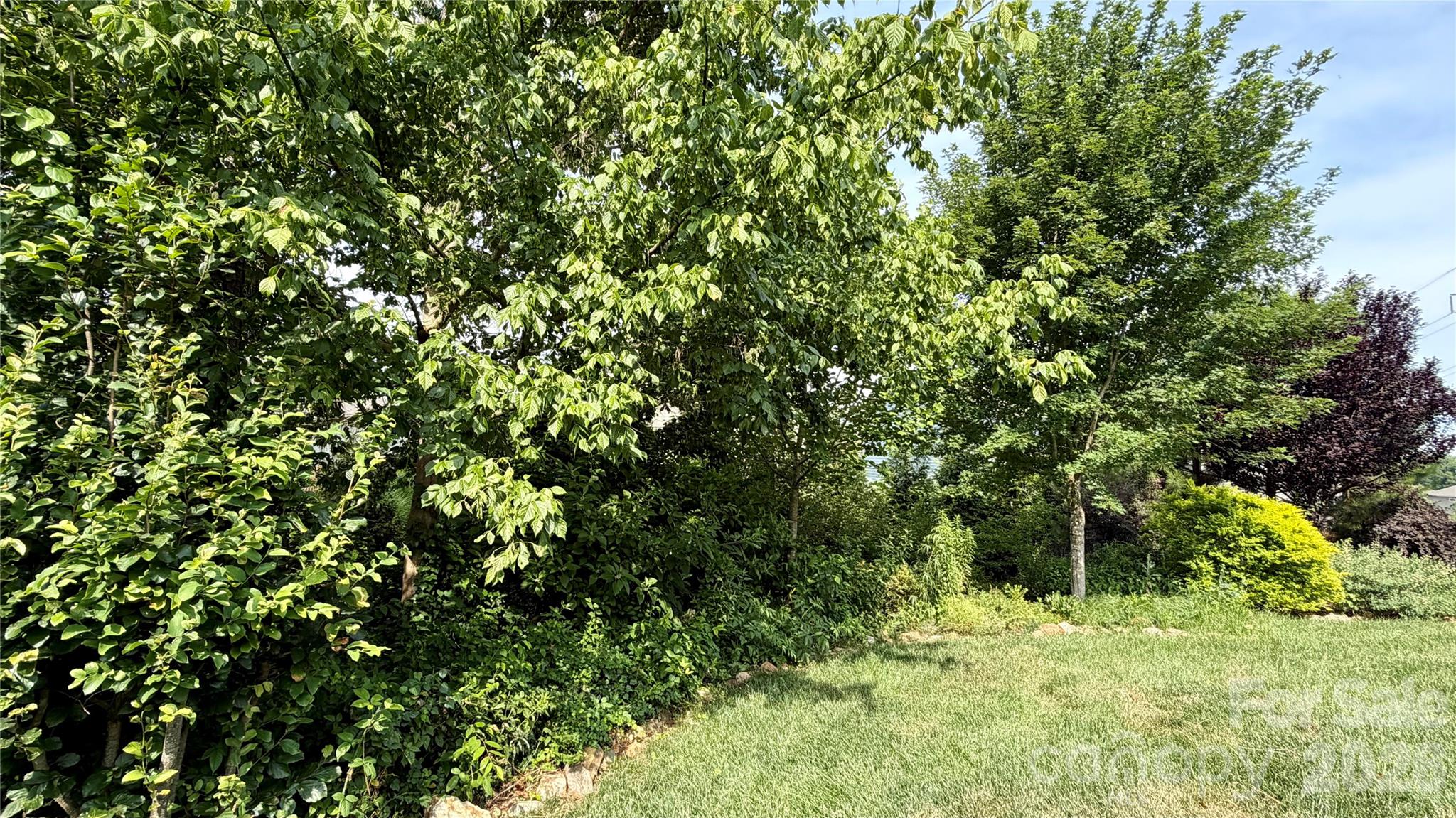 10046 Fox Trotter Lane Property Photo 41
