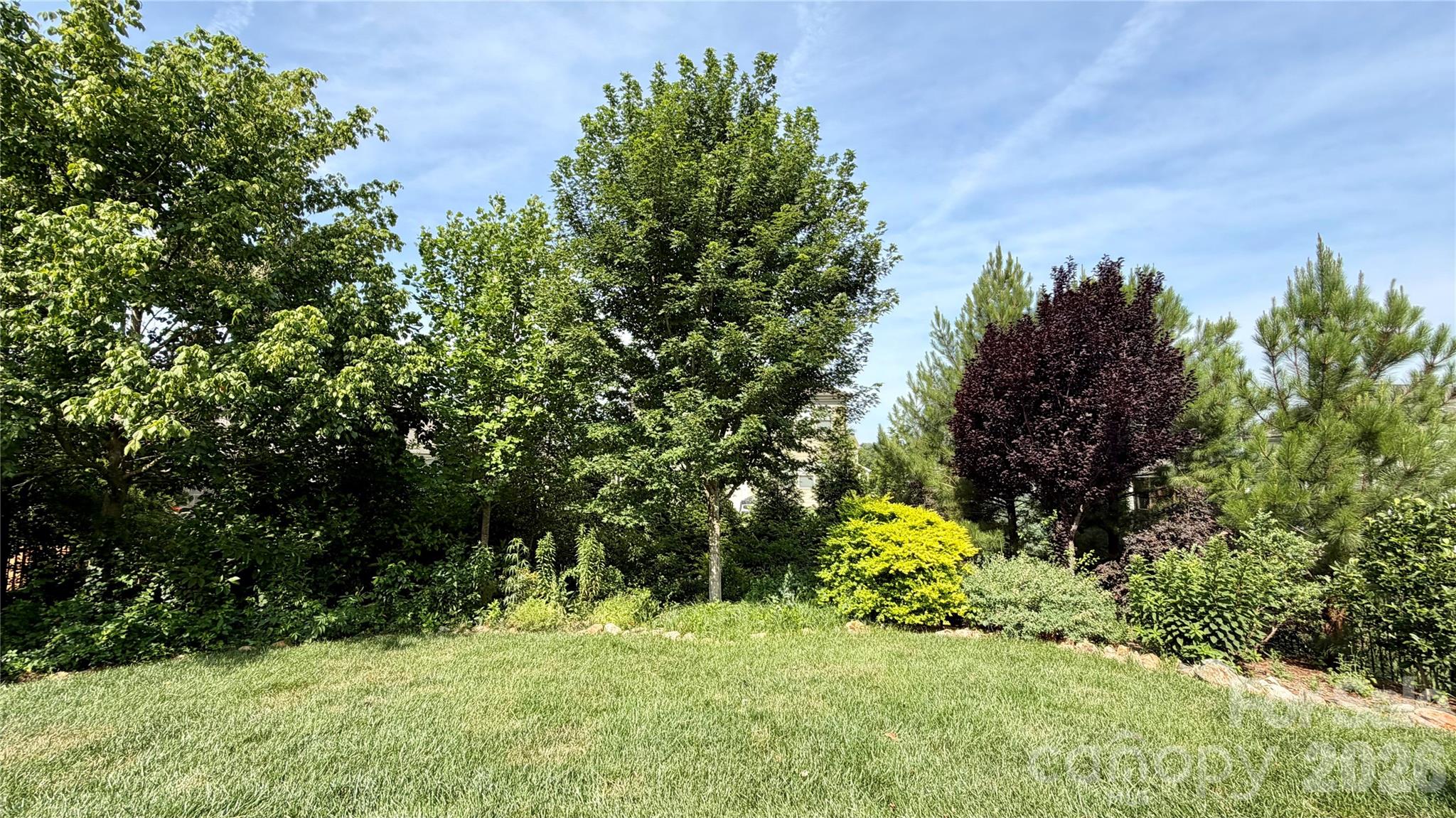 10046 Fox Trotter Lane Property Photo 43