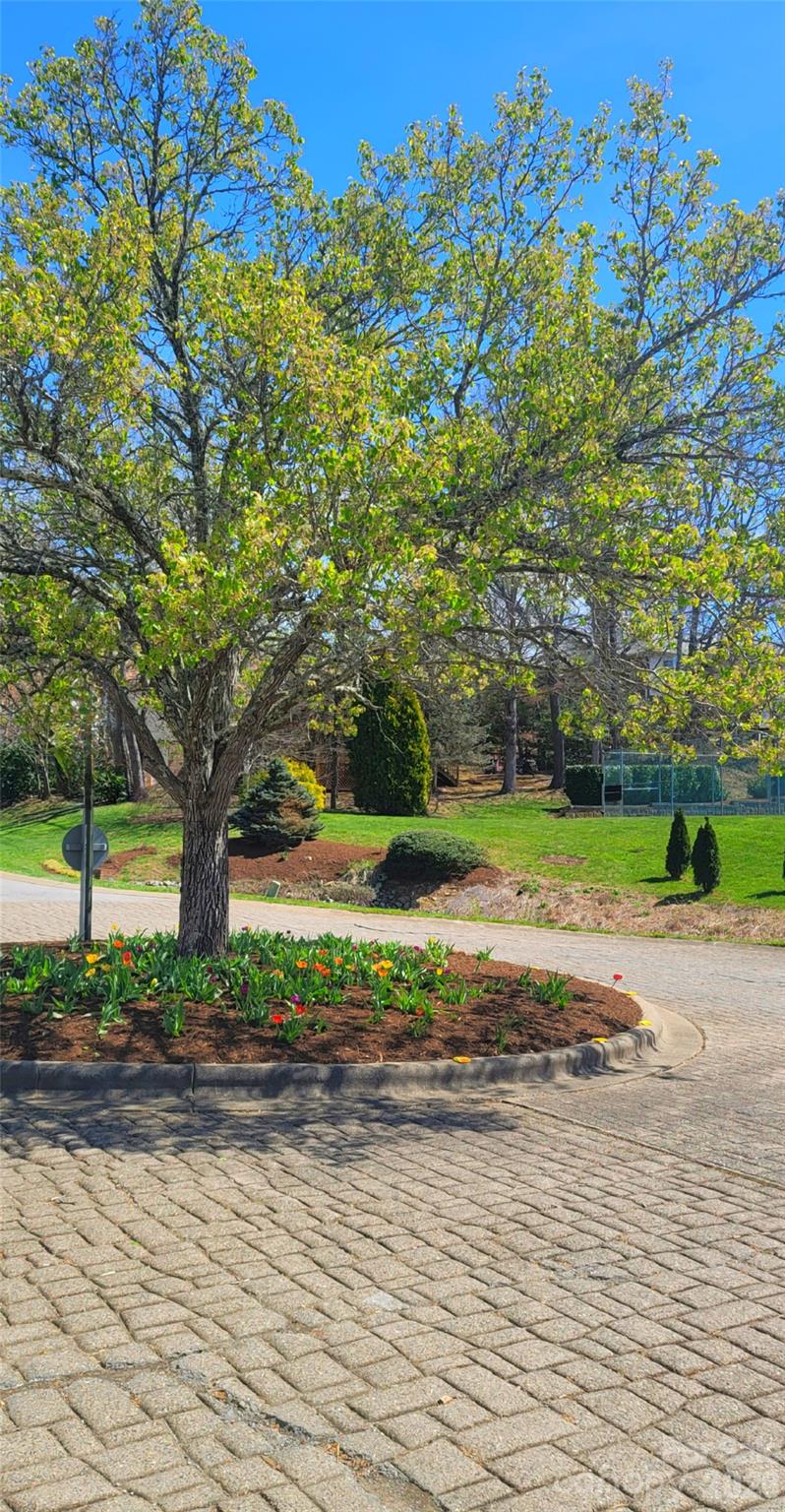 100 Thistle Knoll Court Property Photo 46