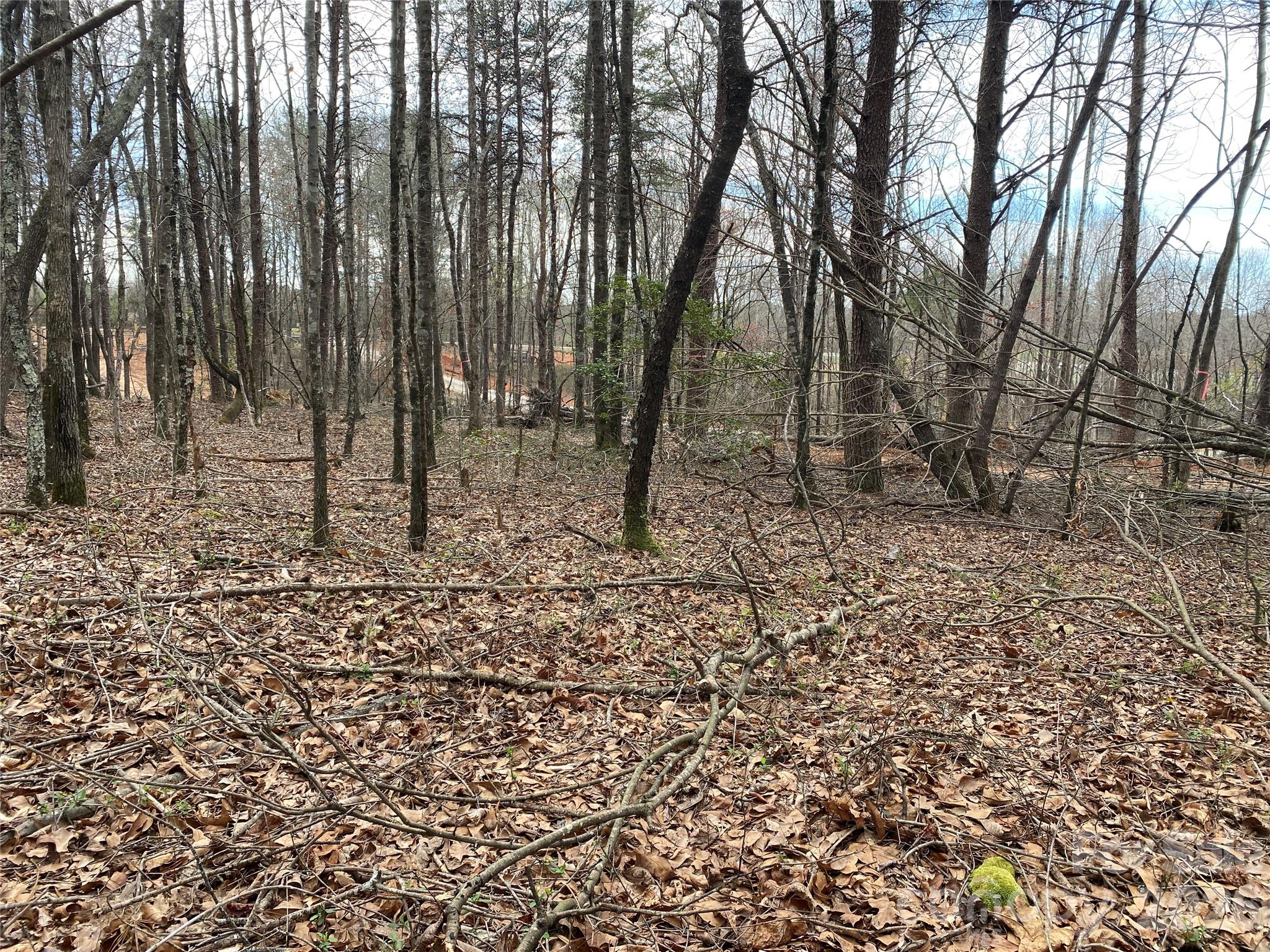 00 Painter Road Property Photo 8